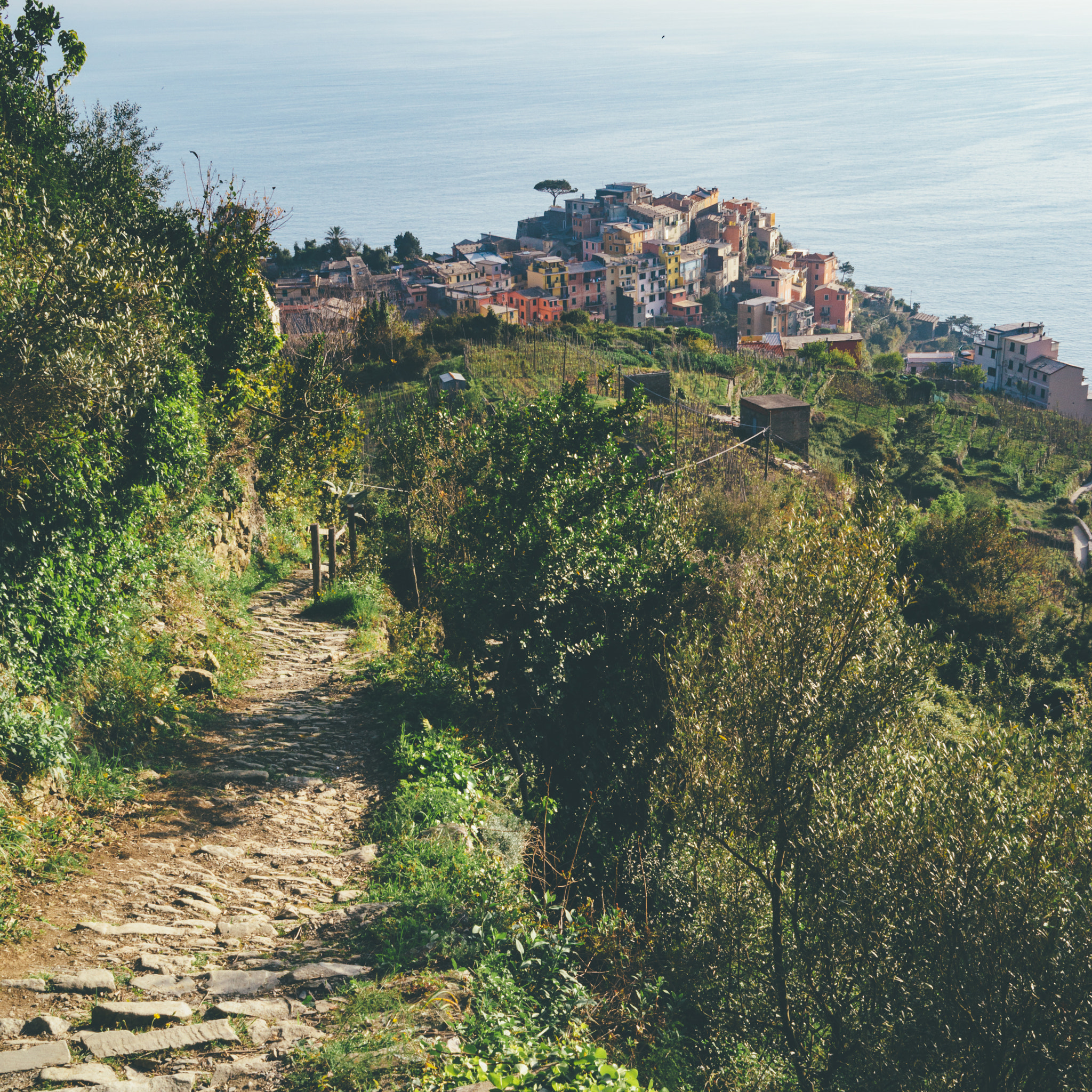 Sony Cyber-shot DSC-RX1R sample photo. Cinque terre photography