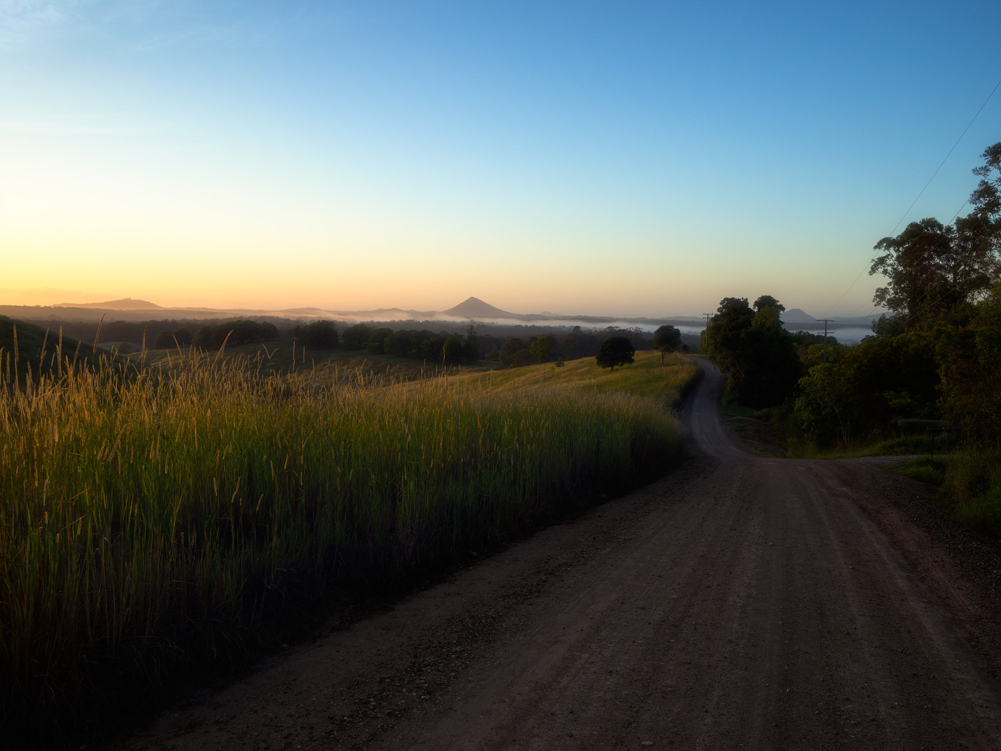 LEICA DG SUMMILUX 15/F1.7 sample photo. Morning, pomona photography