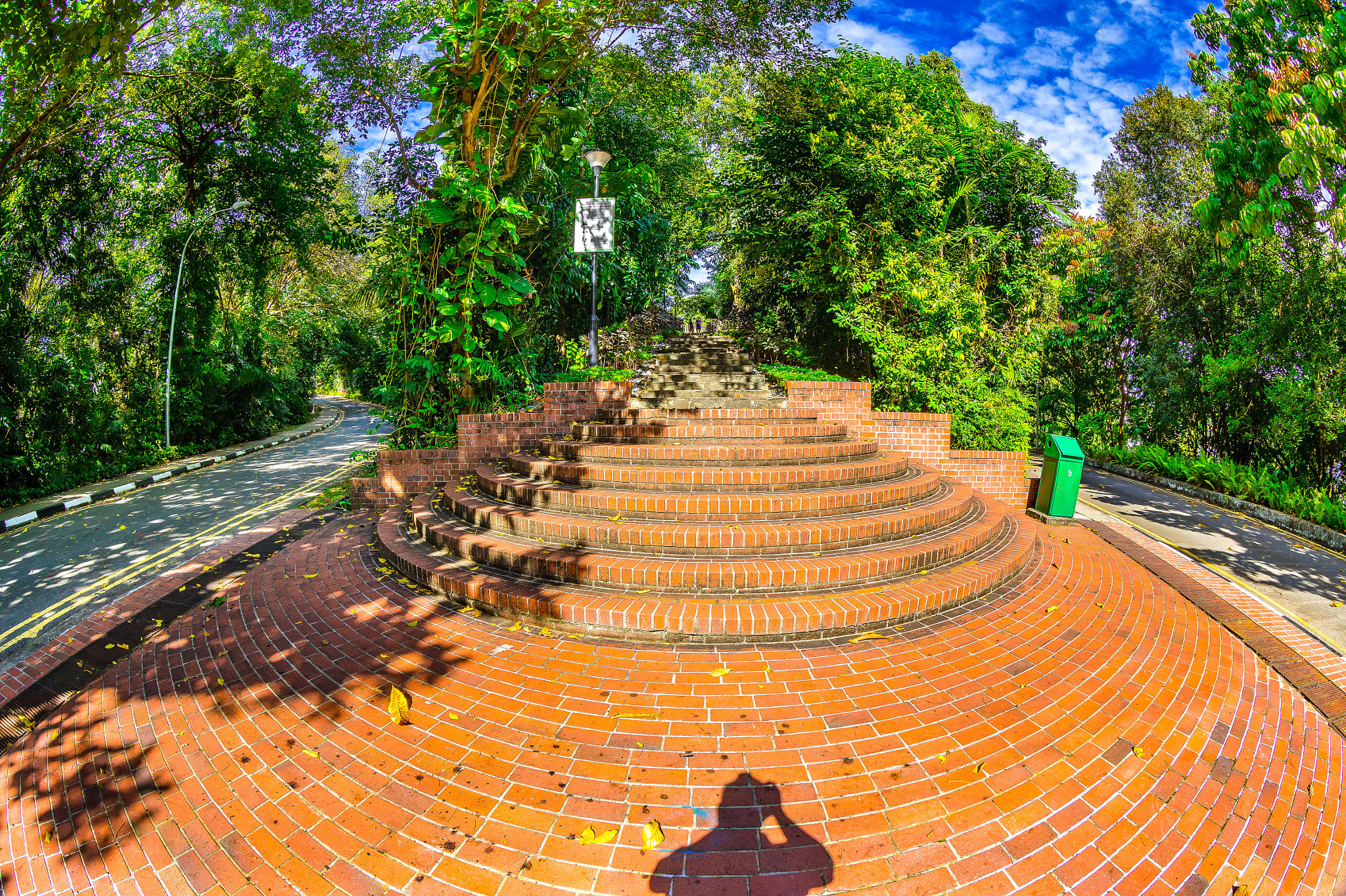 Canon EOS 5D Mark IV + Canon EF 8-15mm F4L Fisheye USM sample photo. The "u" bend (telok blangah hill park) photography