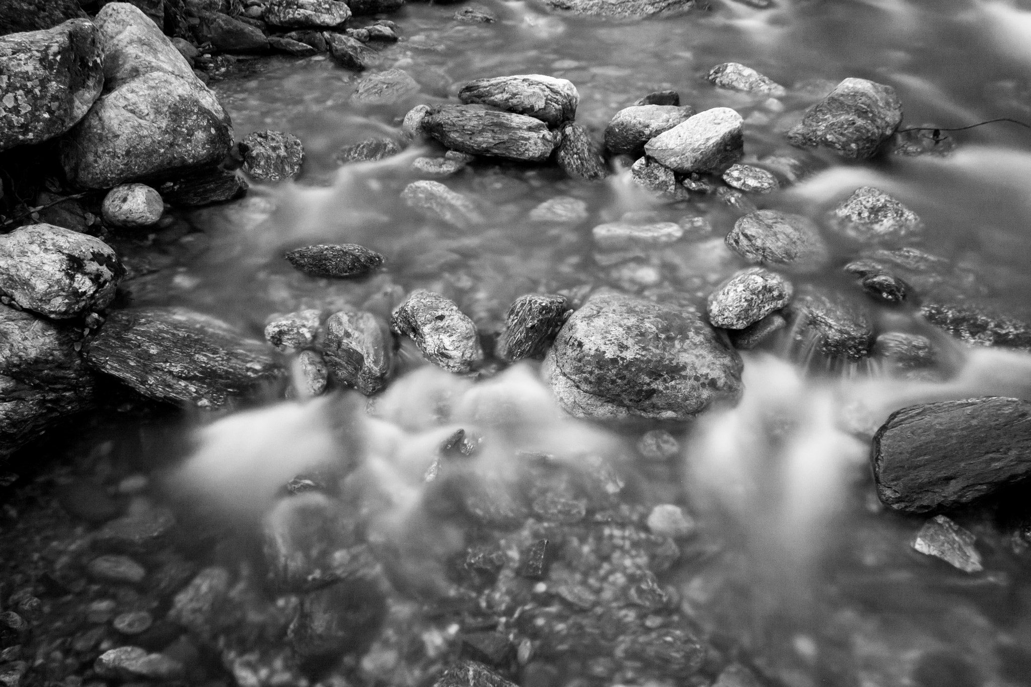 Canon EOS 40D sample photo