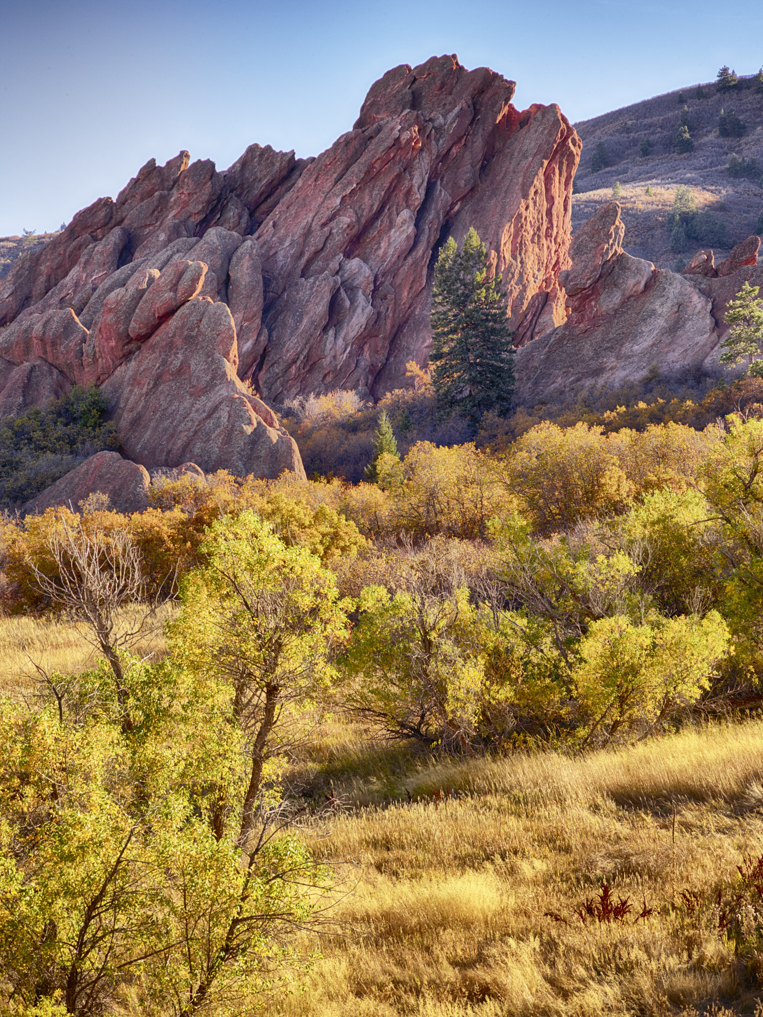Schneider Kreuznach LS 150mm f/3.5 sample photo. Roxborough state park red stone formations photography