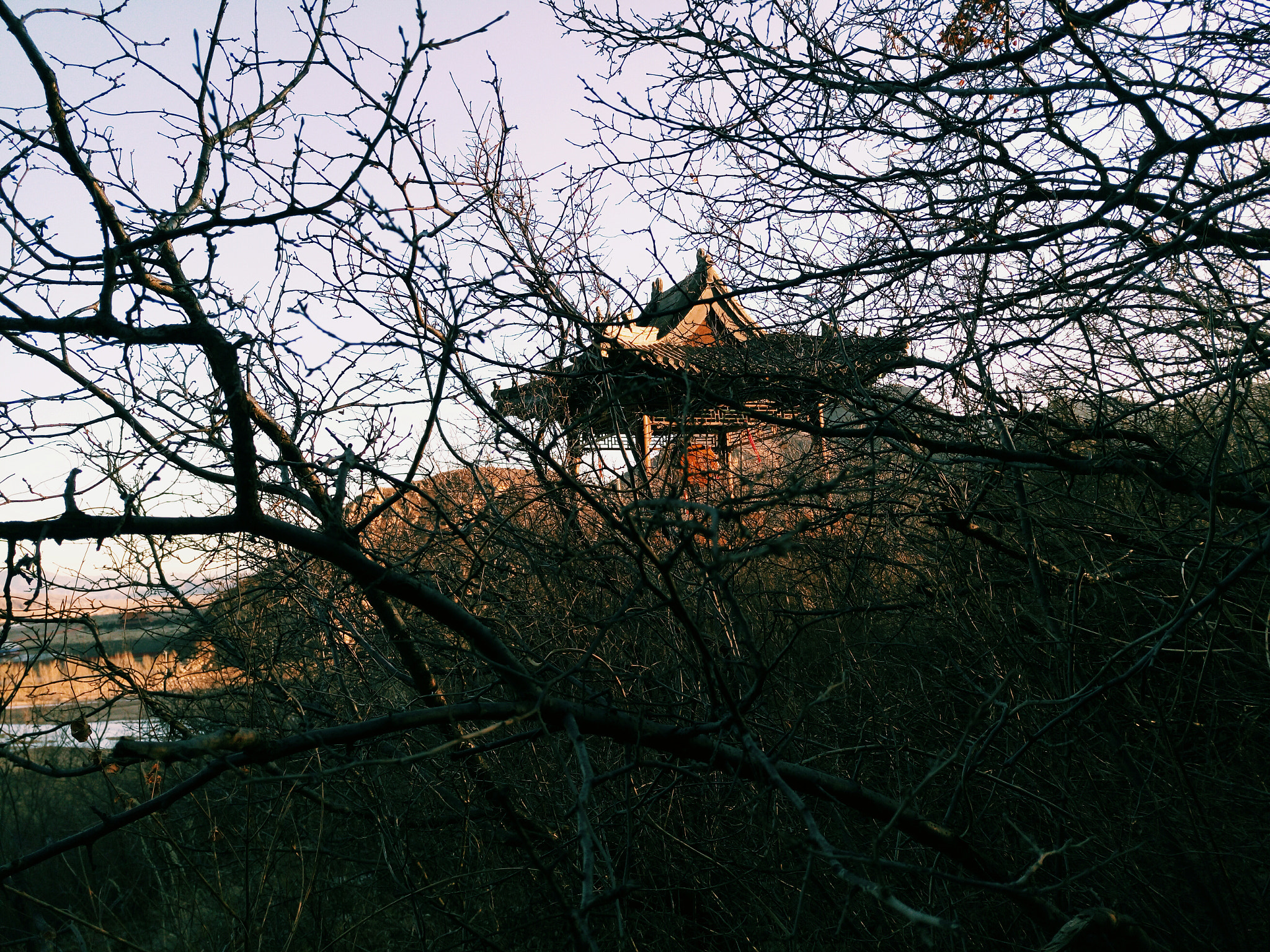 Meizu MX5 sample photo