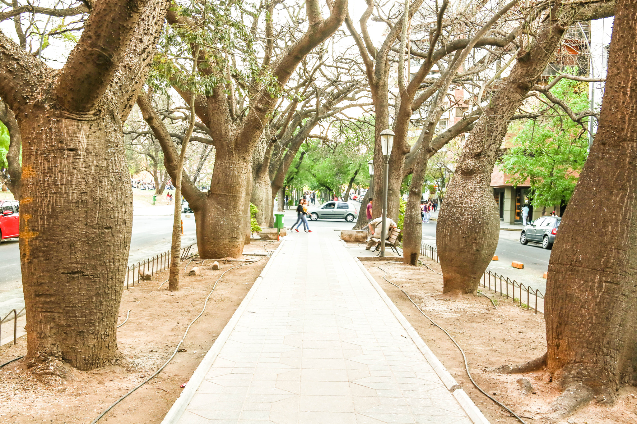Canon EOS 750D (EOS Rebel T6i / EOS Kiss X8i) sample photo. Img photography