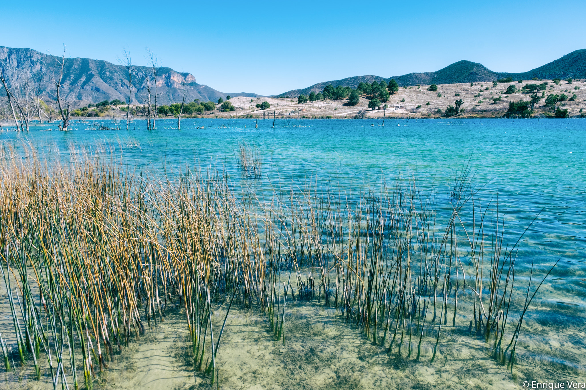 Fujifilm X-Pro2 + Fujifilm XF 16-55mm F2.8 R LM WR sample photo. Laguna de labradores, galeana nuevo leon photography