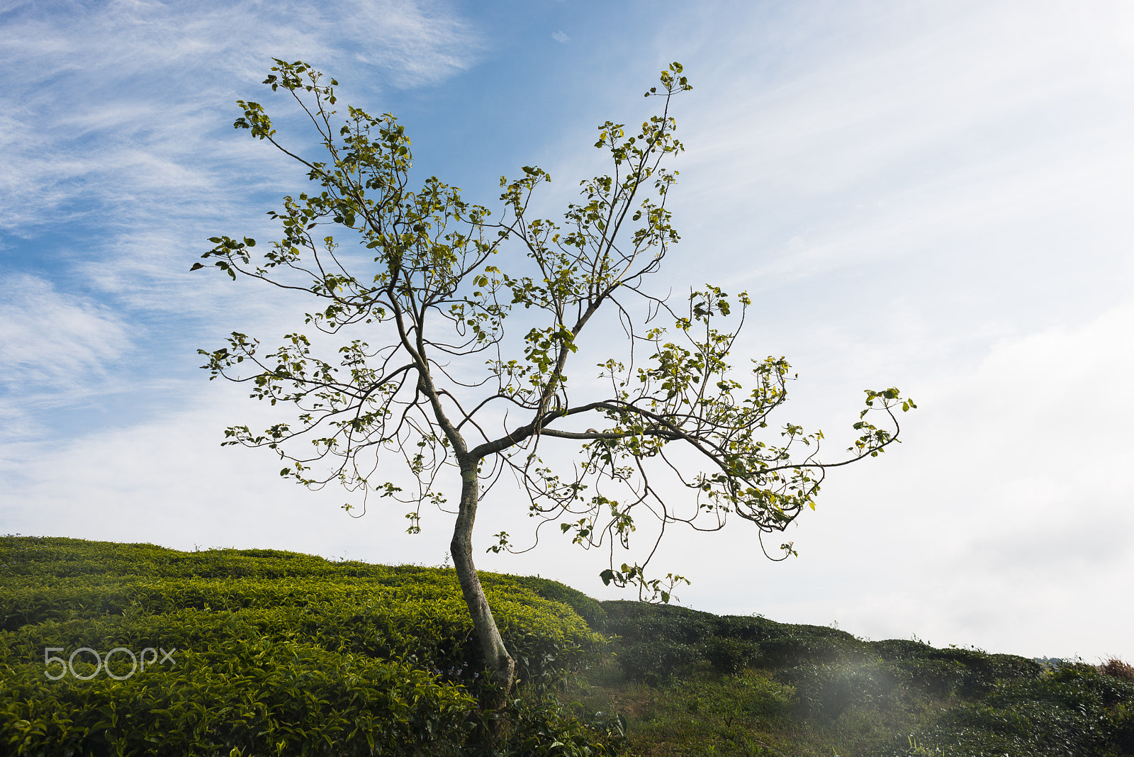 Nikon D610 + Nikon AF Nikkor 24mm F2.8D sample photo. Now you're just my past ... photography