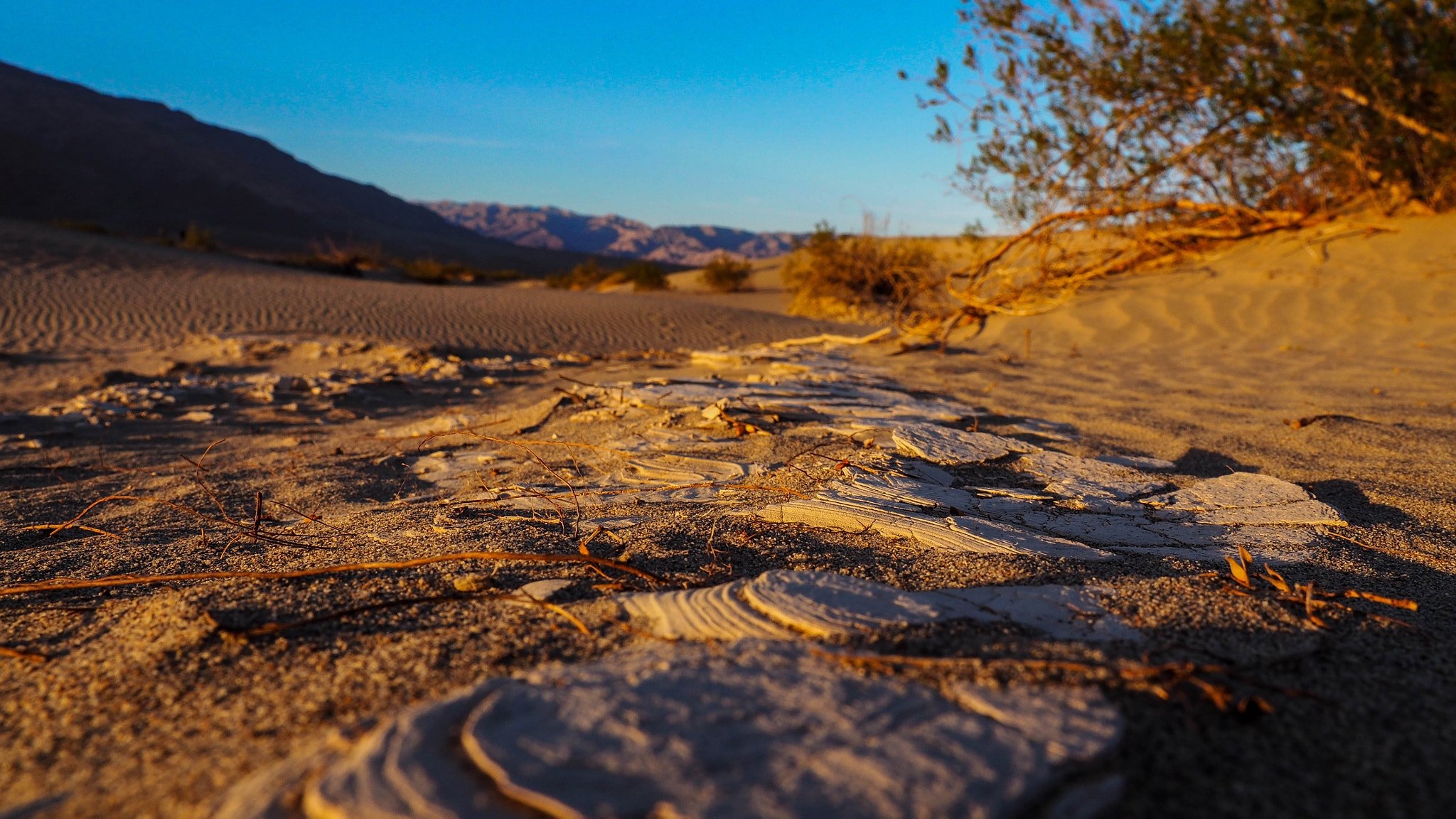 Olympus OM-D E-M5 II + Olympus M.Zuiko Digital ED 12-100mm F4.0 IS Pro sample photo. Dune gully photography