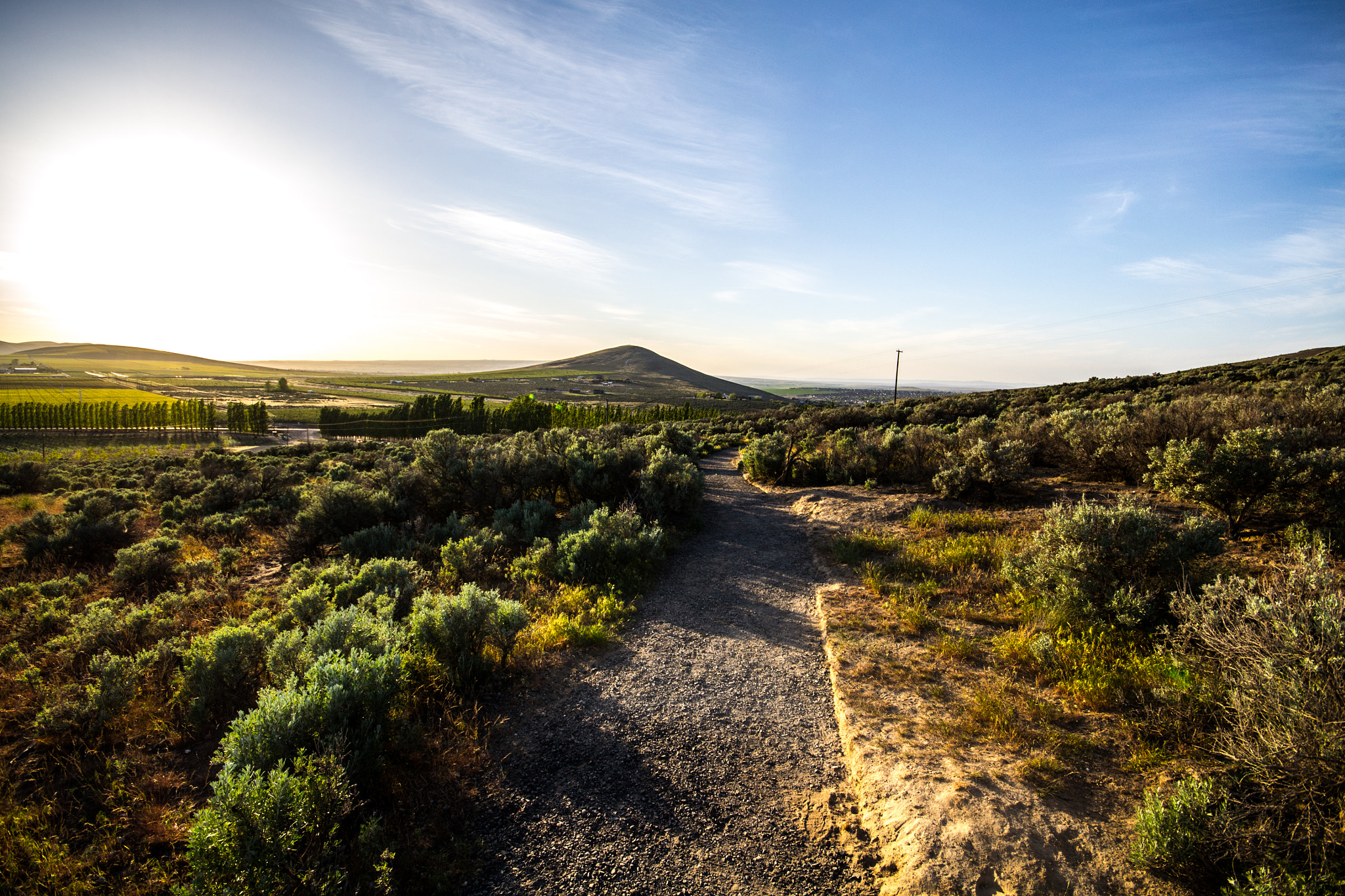 Sigma 10-20mm F4-5.6 EX DC HSM sample photo. Badger mountain 01 photography