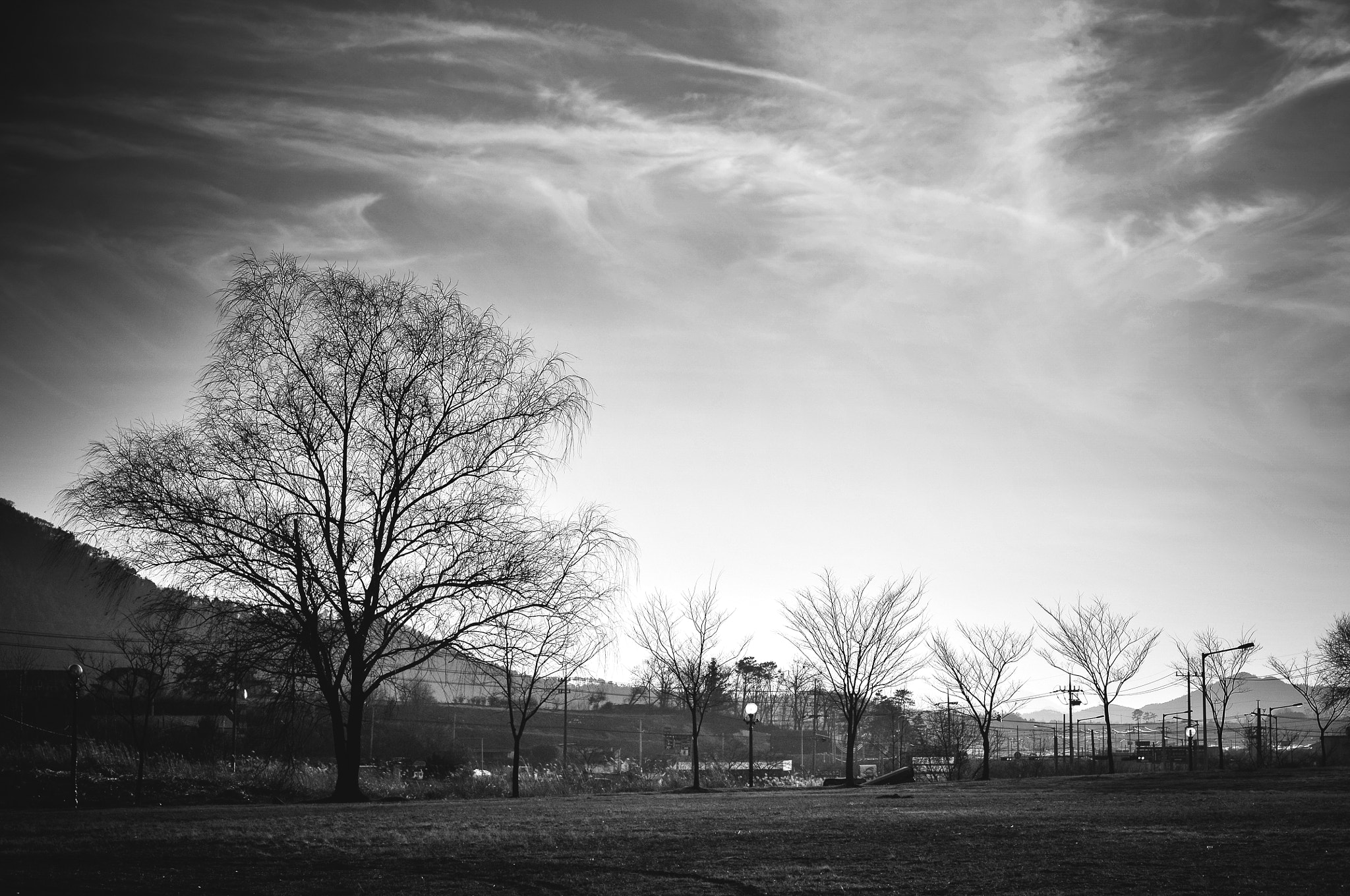 Nikon D300S + Nikon AF Nikkor 50mm F1.4D sample photo. Sunset on the farm photography
