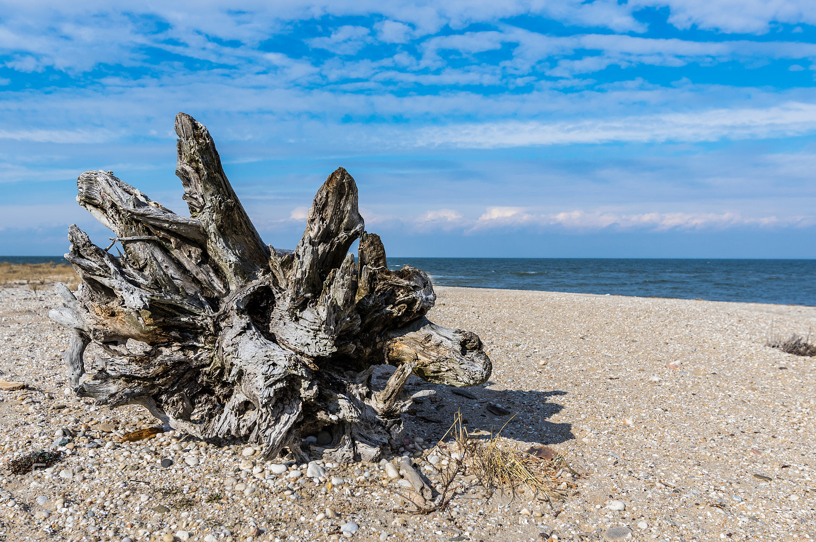 HD PENTAX-D FA 15-30mm F2.8 ED SDM WR sample photo. Winter beaching photography