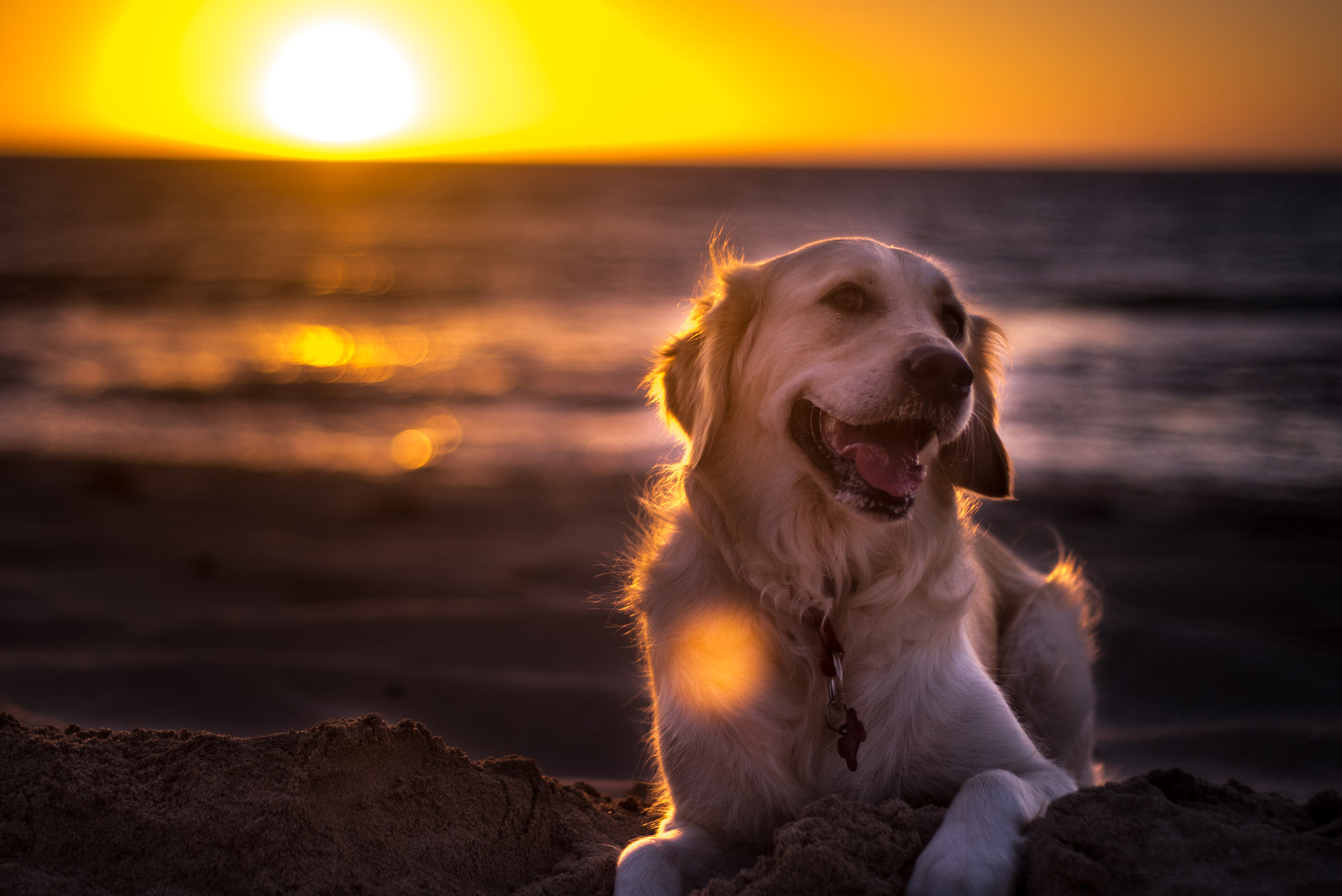 Nikon D750 + AF Nikkor 50mm f/1.8 sample photo. Beautiful sophie photography