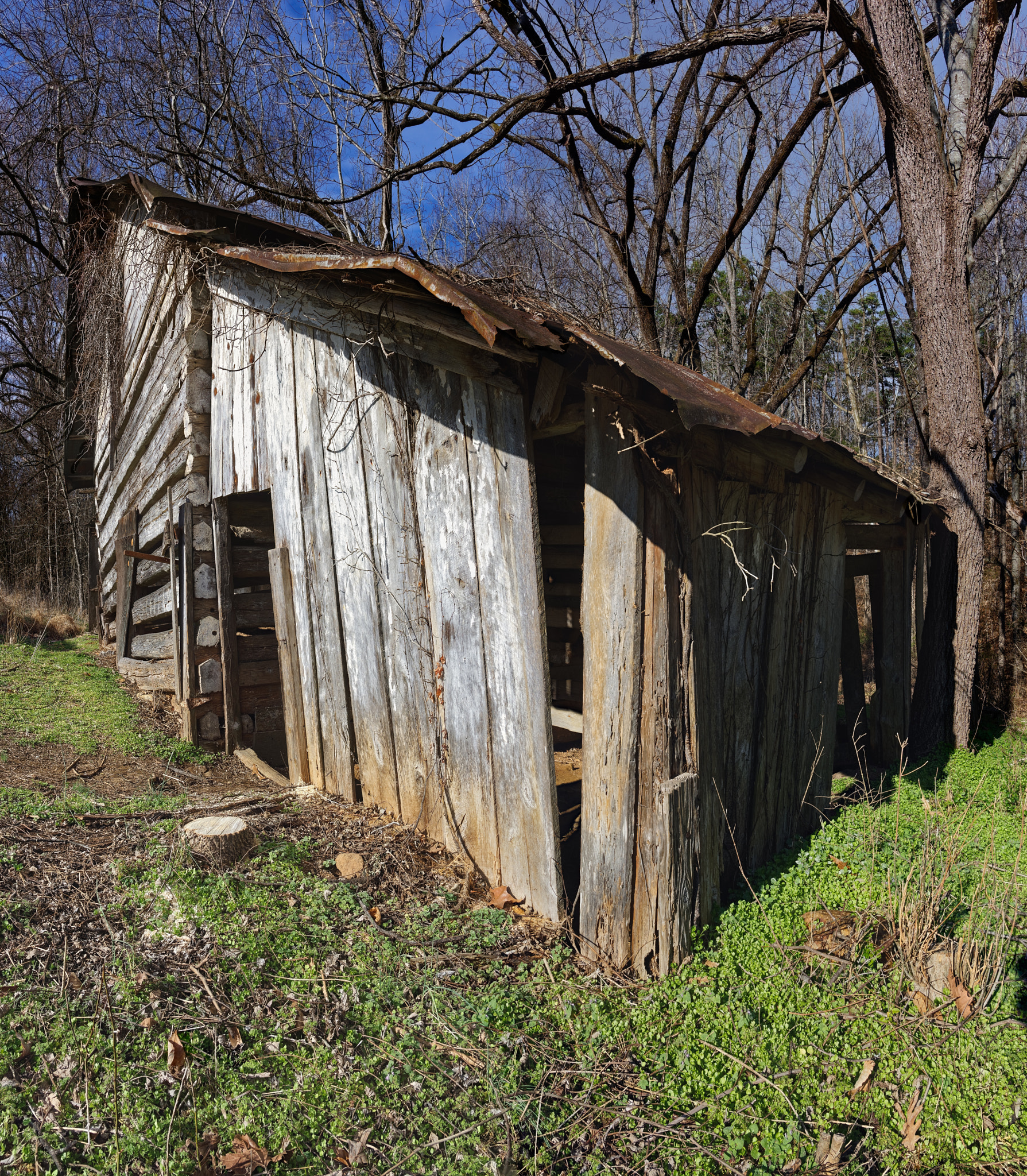 Nikon D810 sample photo. Cedarockparkburlingtonnc pano edit-001 photography