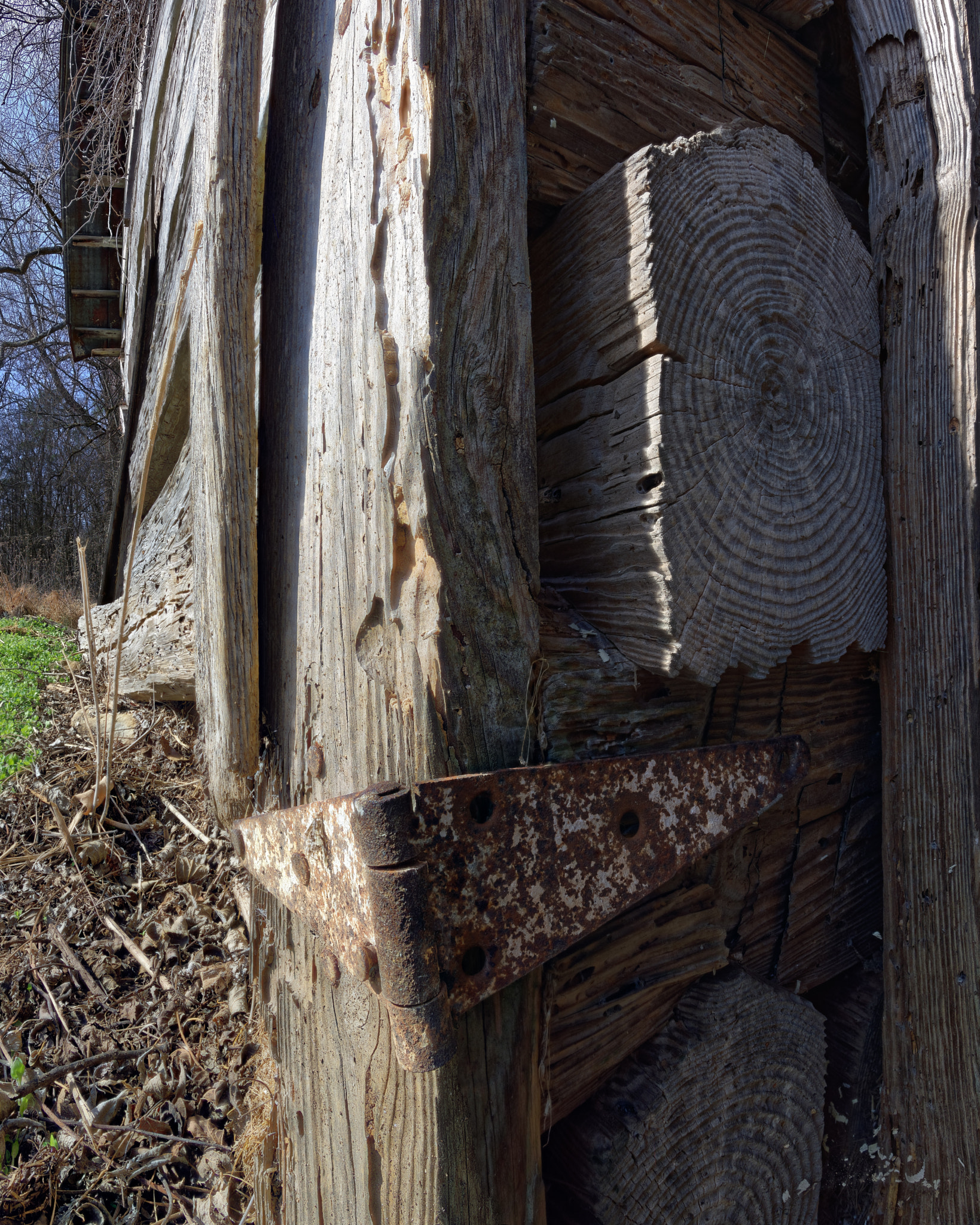 Nikon D810 + Nikon AF-S Nikkor 20mm F1.8G ED sample photo. Cedarockparkburlingtonnc pano-005 photography