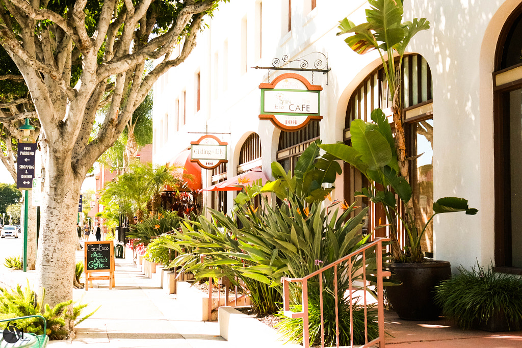 A day in Fullerton, California by Quinn Ann Dng