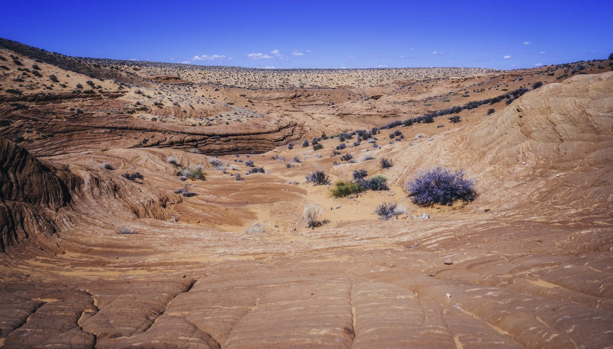 v2?sig=f92710a63deff43fbb8b66ceb408dc271