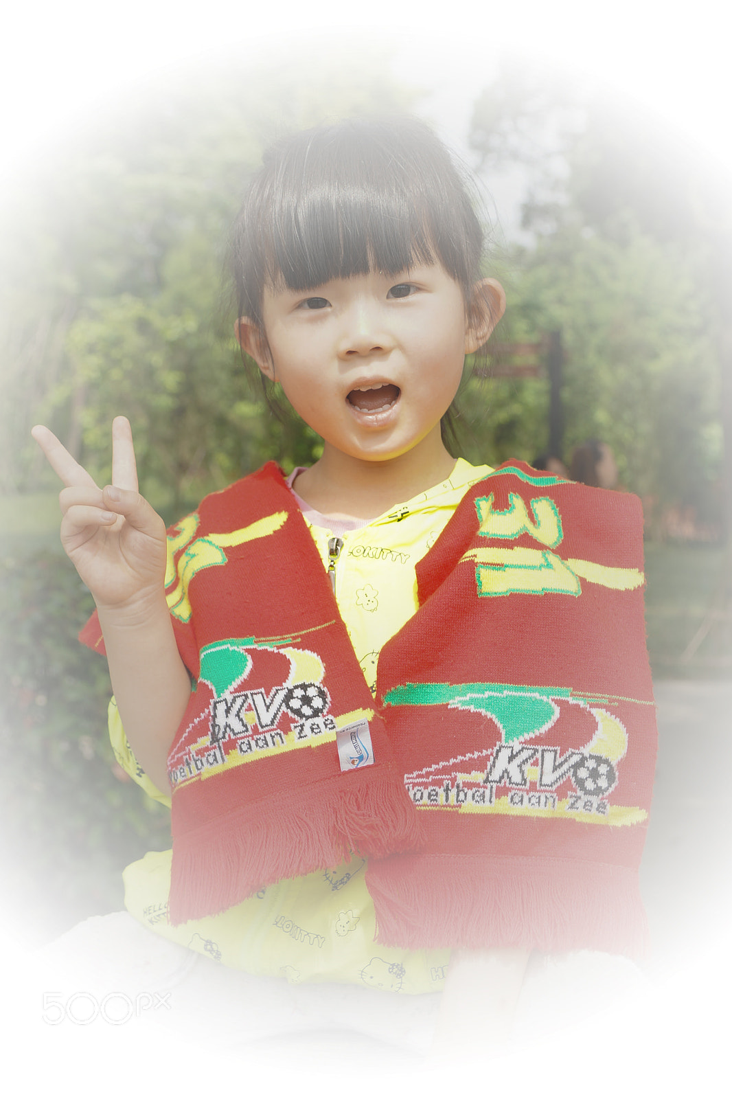 Sony DT 16-105mm F3.5-5.6 sample photo. Chengdu photography