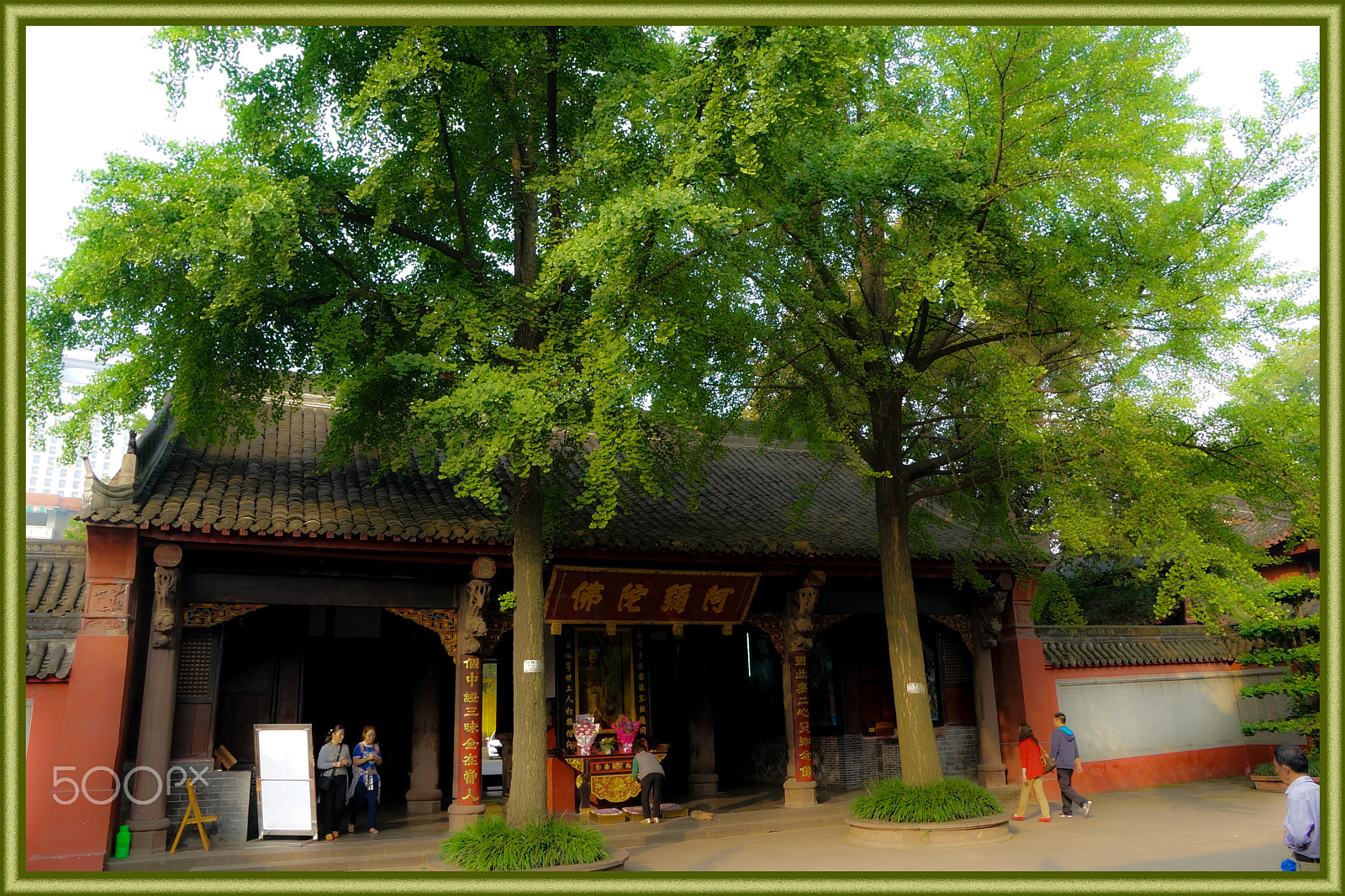 Sony DT 16-105mm F3.5-5.6 sample photo. Chengdu photography