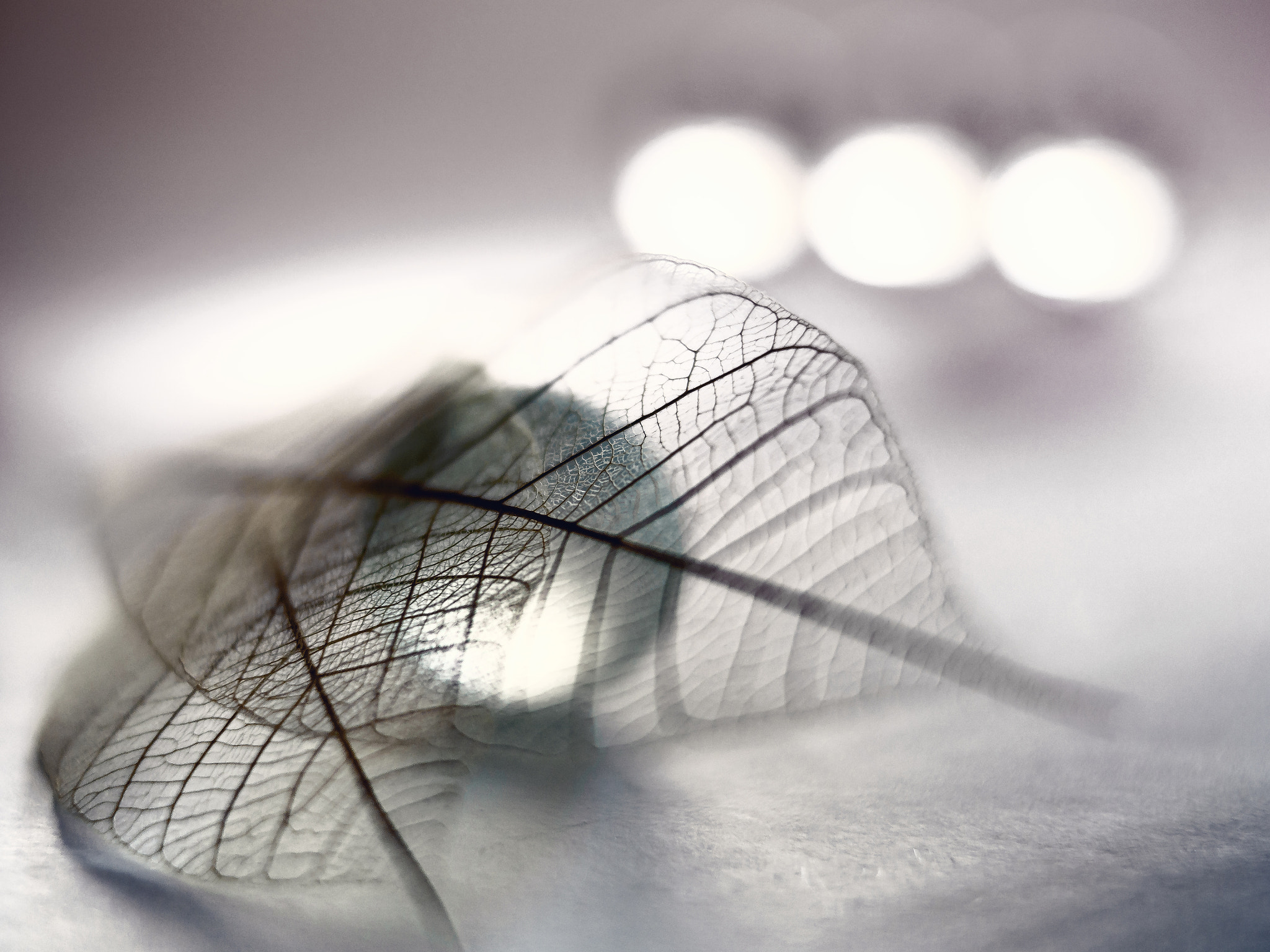 Olympus OM-D E-M10 + Olympus M.Zuiko Digital 45mm F1.8 sample photo. Lights and shadows photography