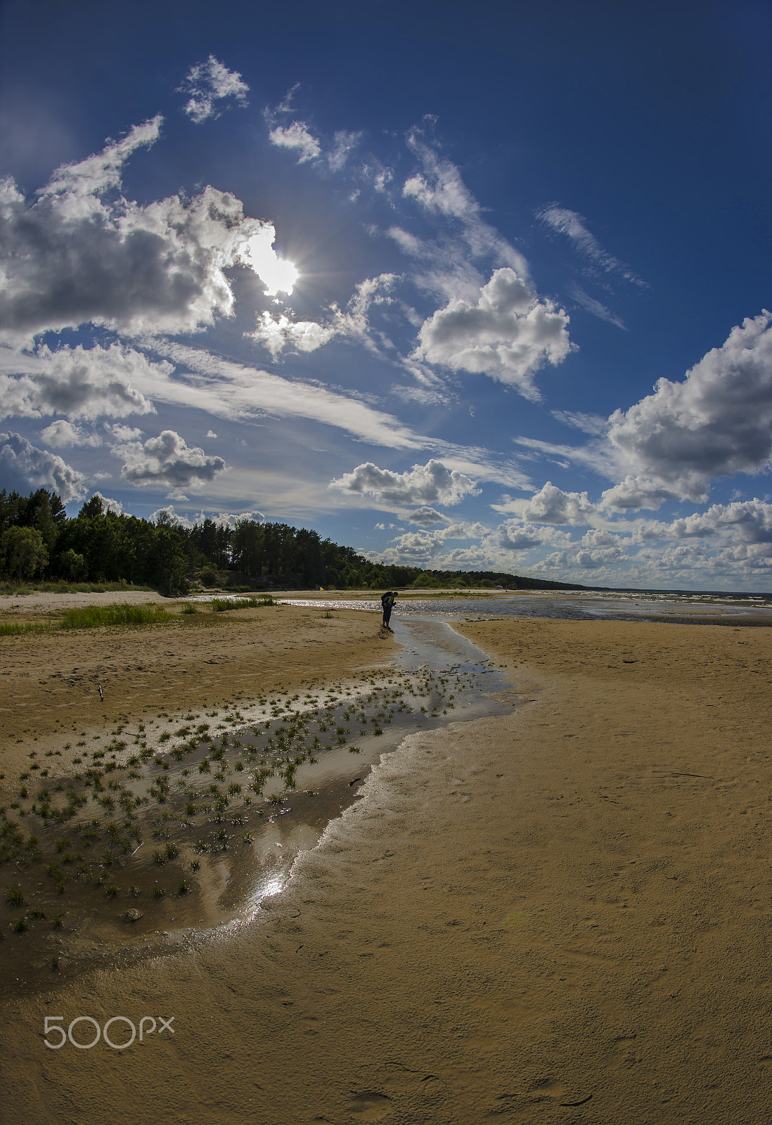 Nikon D800 + Nikon AF Fisheye-Nikkor 16mm F2.8D sample photo. Sea shore. photography