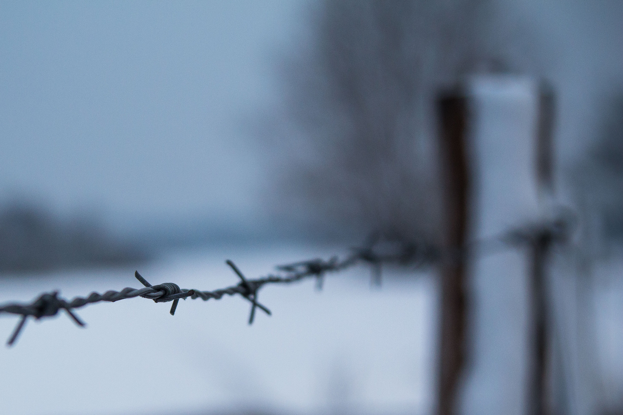 Canon EOS 700D (EOS Rebel T5i / EOS Kiss X7i) + Canon EF 24-105mm F4L IS USM sample photo. Barbed wire photography