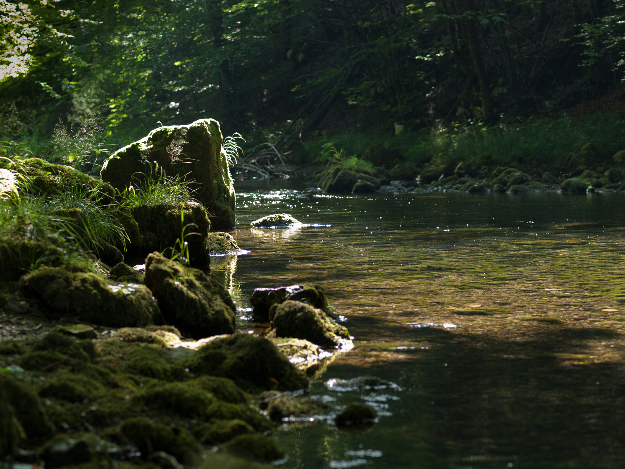 Olympus E-520 (EVOLT E-520) + OLYMPUS 50mm Lens sample photo. Cool creek photography