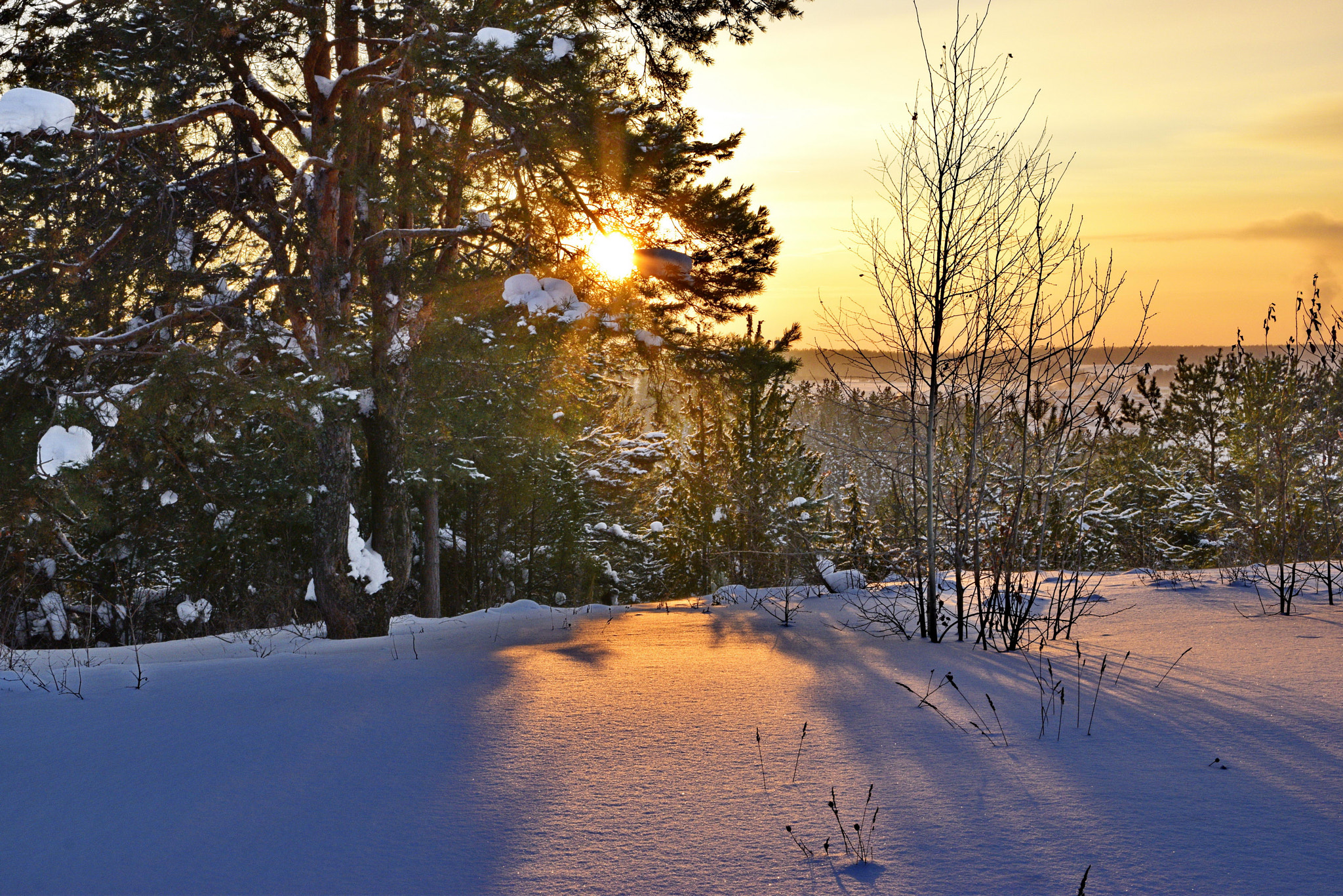 Nikon D5300 + Sigma 17-70mm F2.8-4 DC Macro OS HSM | C sample photo. Winter sunset  photography
