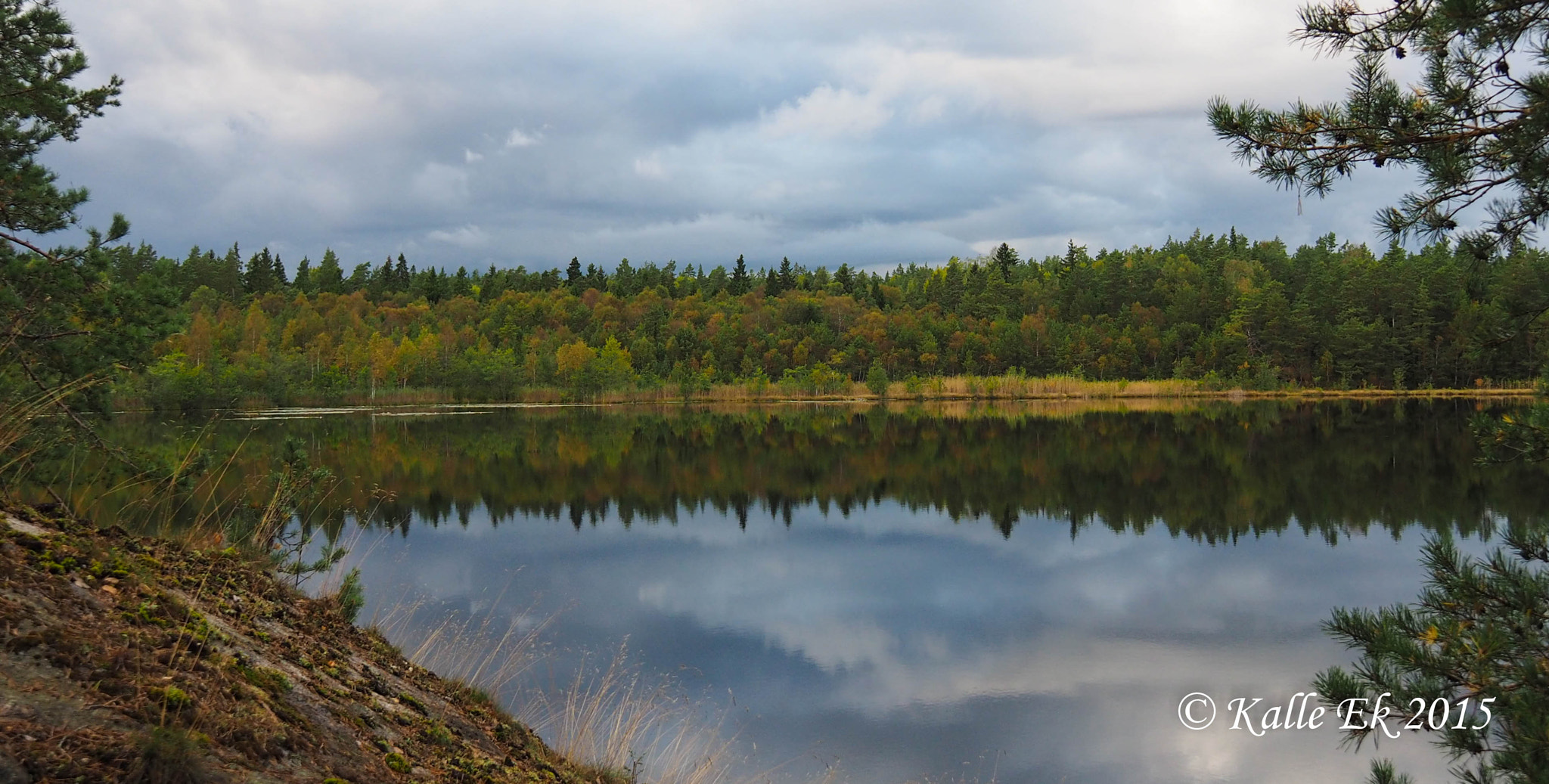 OLYMPUS M.14-150mm F4.0-5.6 II sample photo. The lake in the forest photography