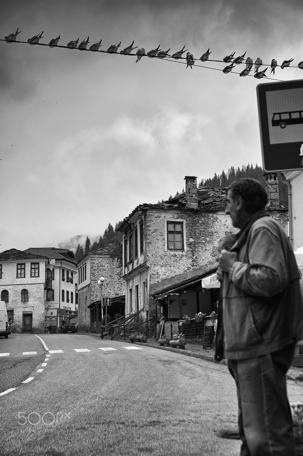 Tamron SP 24-70mm F2.8 Di VC USD sample photo. Urban scene with birds and a man next to a road photography