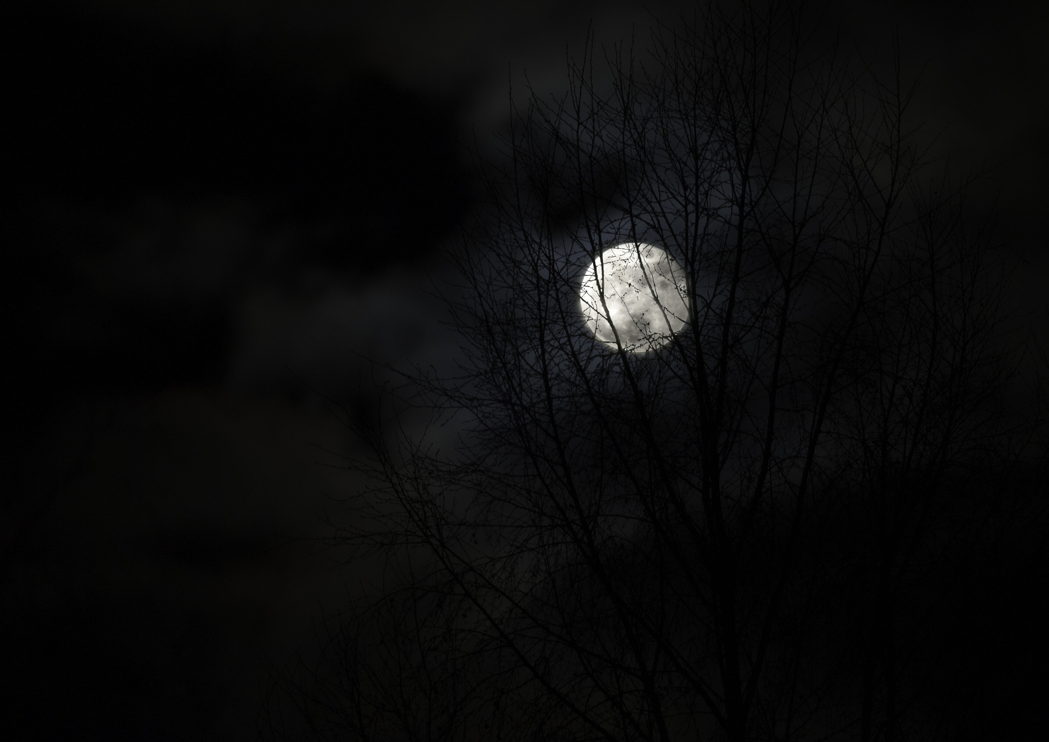 Nikon D700 + Nikon AF-S Nikkor 300mm F4D ED-IF sample photo. The mystery of the moon photography