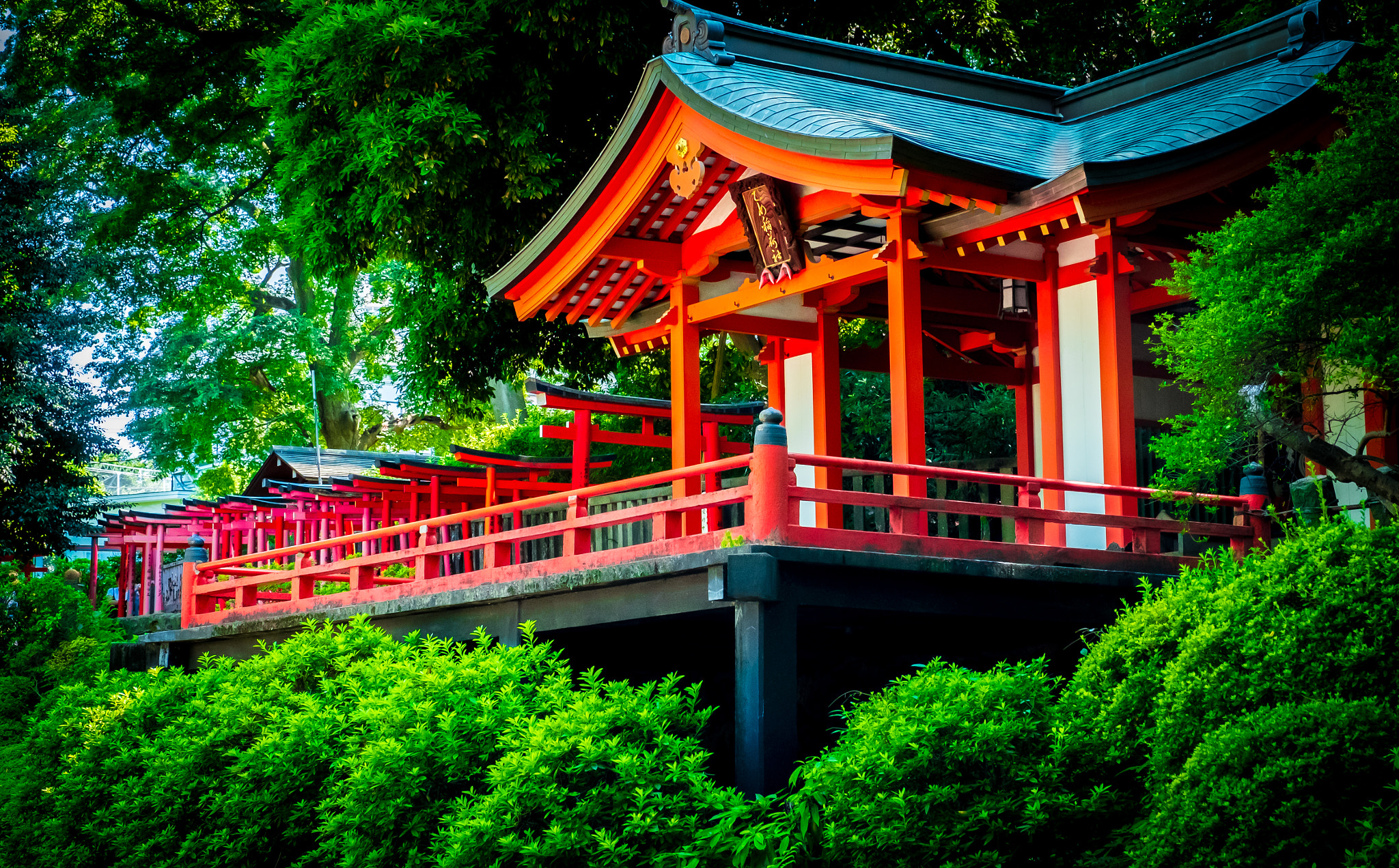 Fujifilm X-E2 + Fujifilm XF 16-55mm F2.8 R LM WR sample photo. Nezu shrine photography