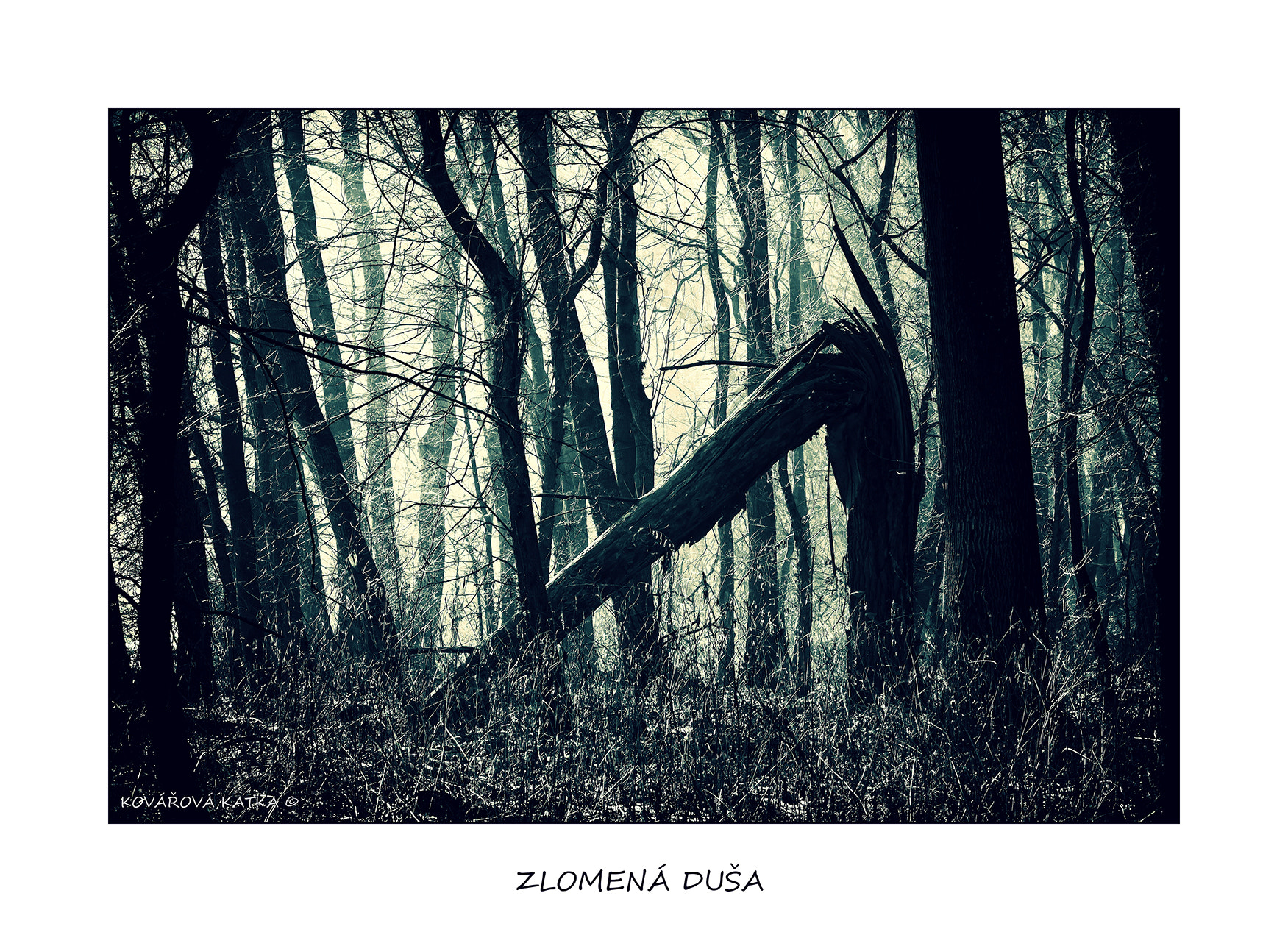 Canon EF 75-300mm F4.0-5.6 IS USM sample photo. Zlomená duša photography