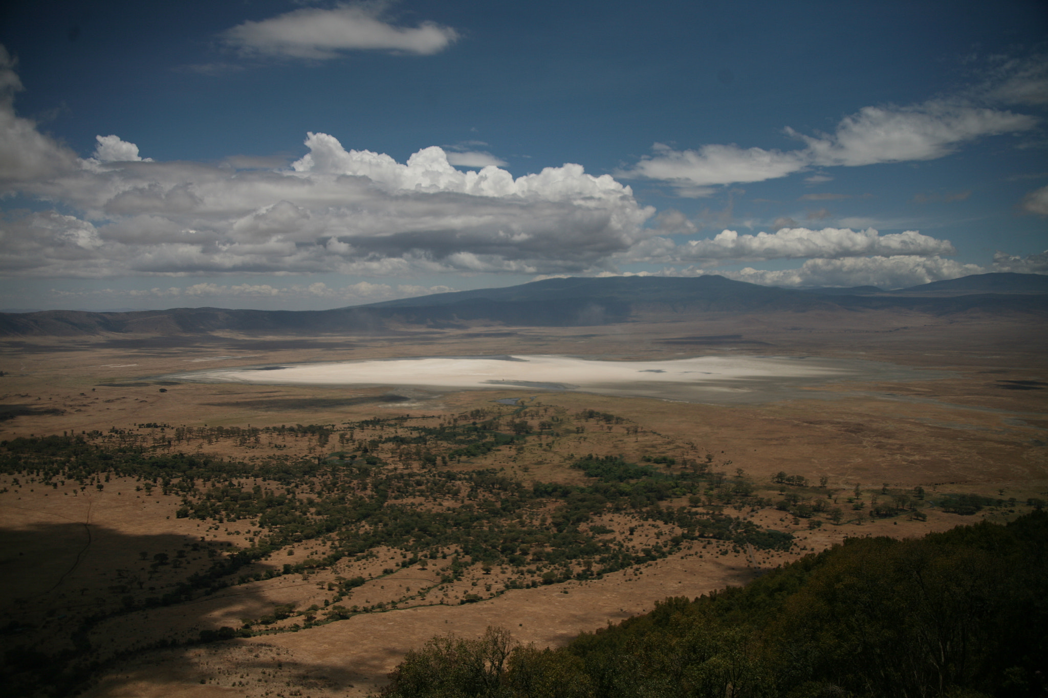 Canon EF 28-105mm f/3.5-4.5 USM sample photo. Tarangire and serengeti photography