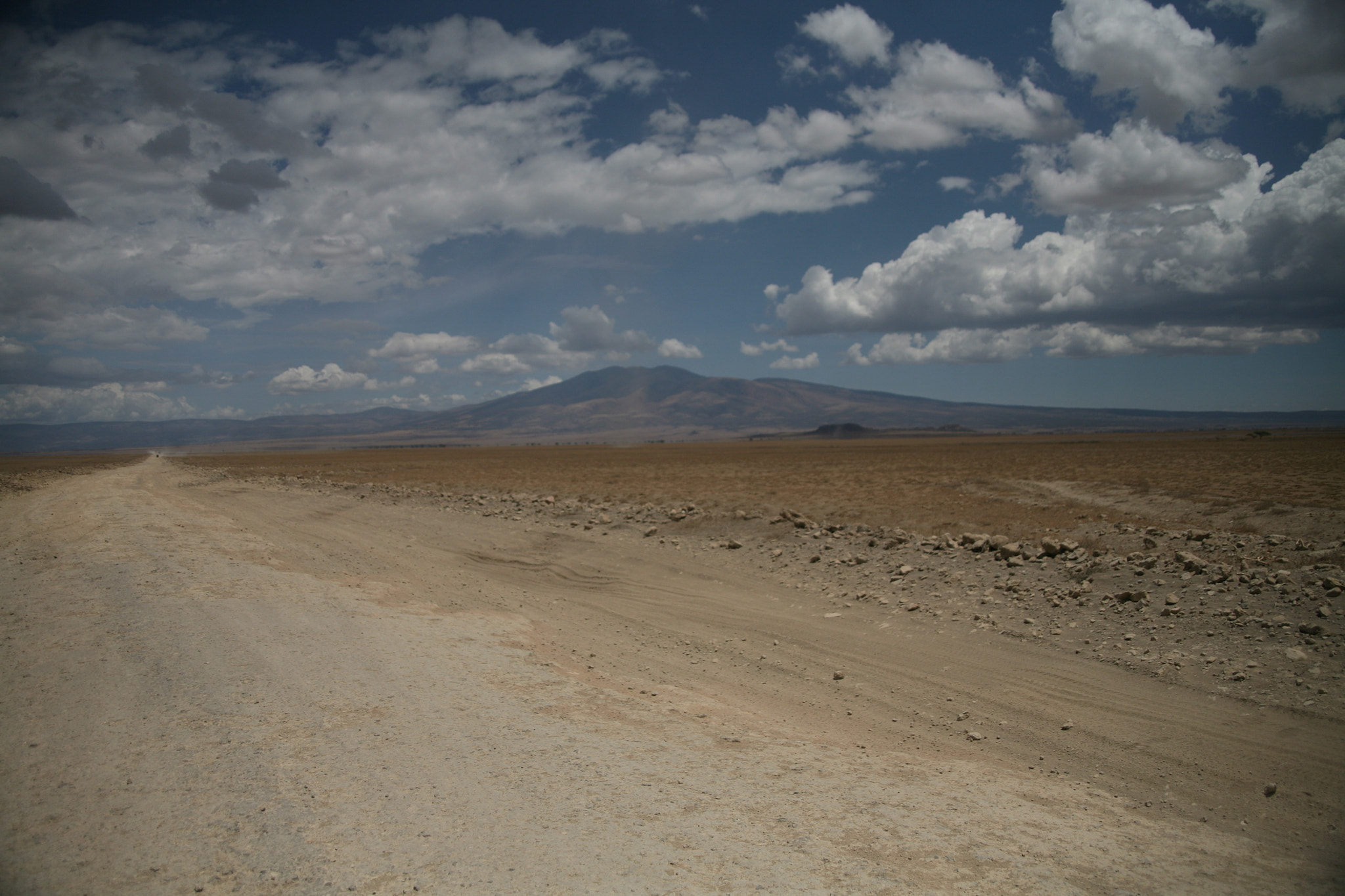 Canon EF 28-105mm f/3.5-4.5 USM sample photo. Tarangire and serengeti photography