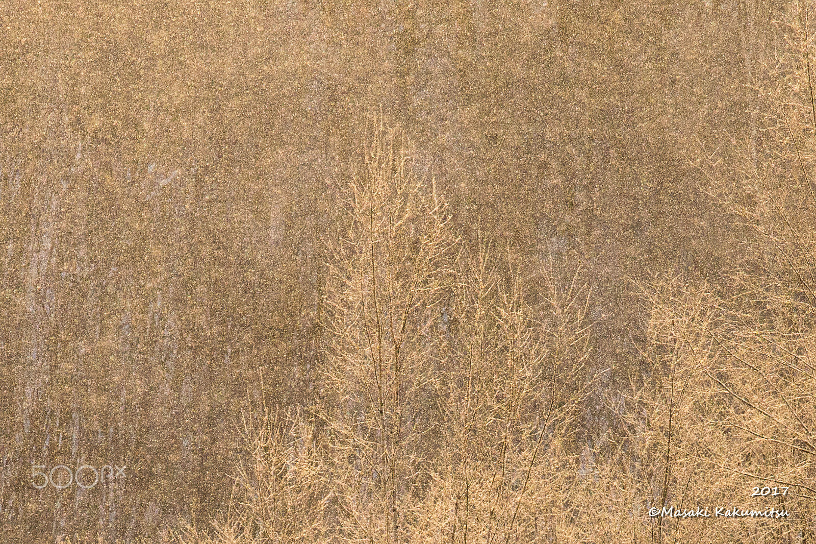 Canon EF 70-200mm F4L IS USM sample photo. Diamond dust photography