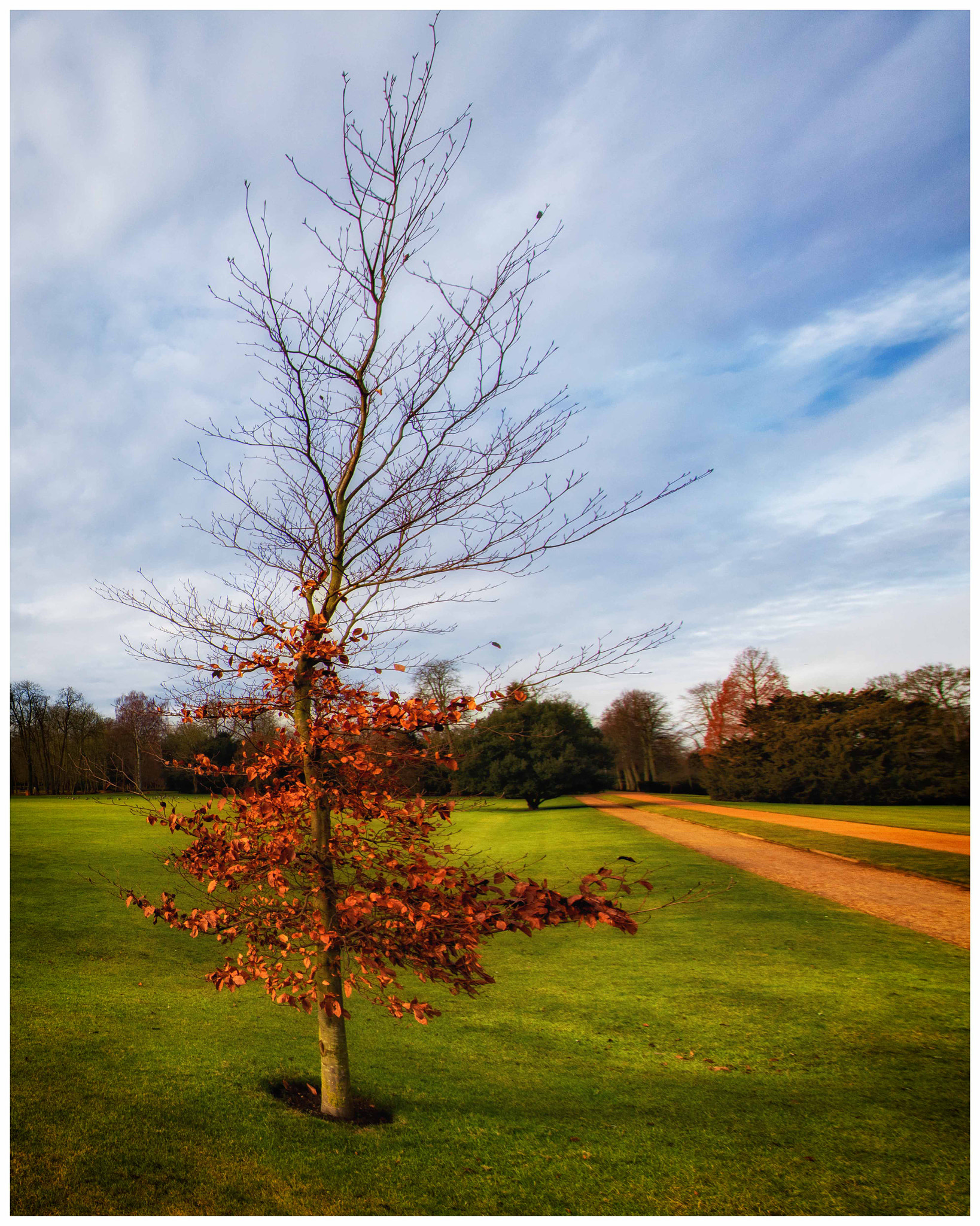 Canon EOS 5DS R + Canon EF 11-24mm F4L USM sample photo