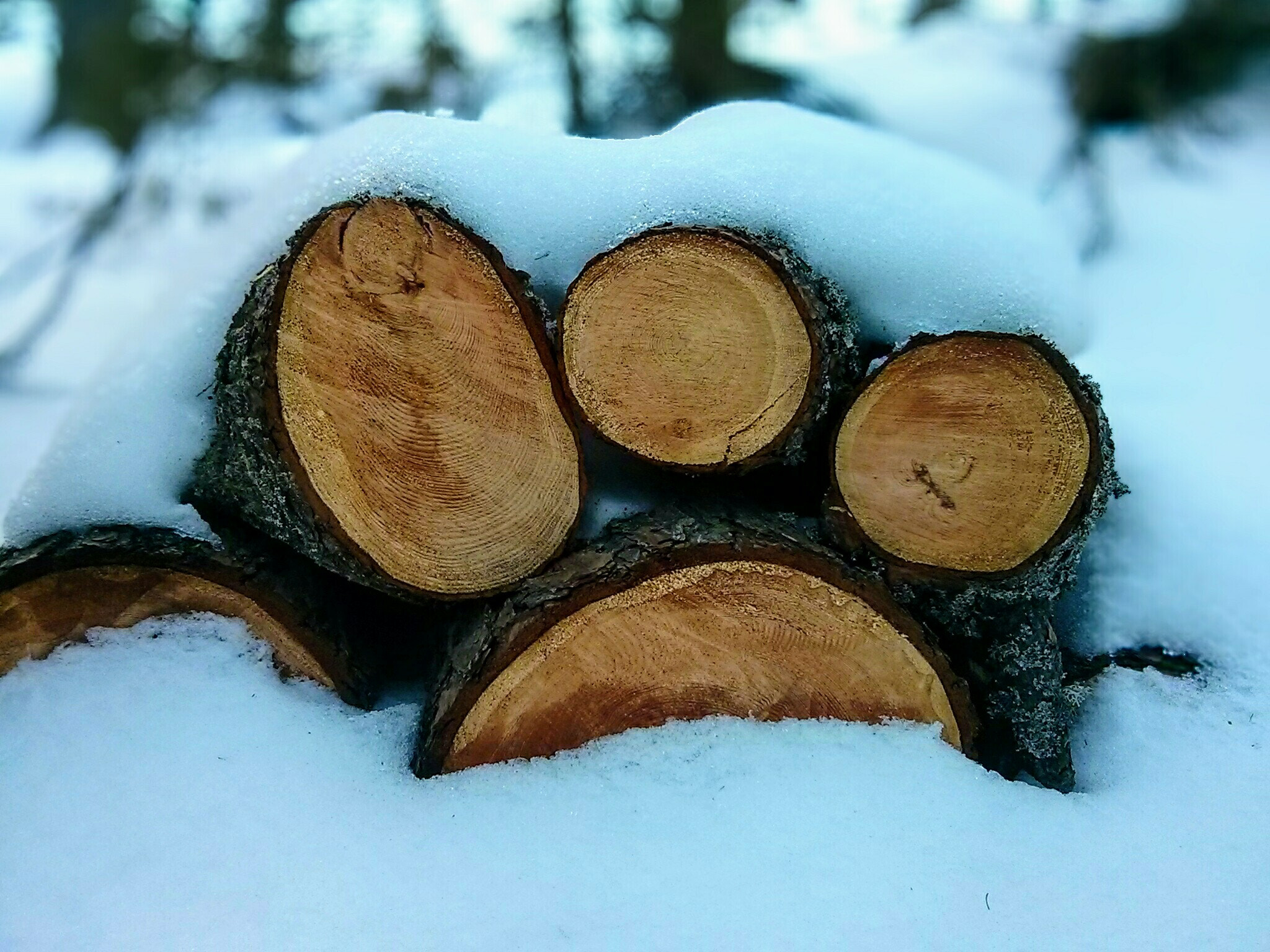 LG Nexus 4 sample photo. Wooden footprint photography