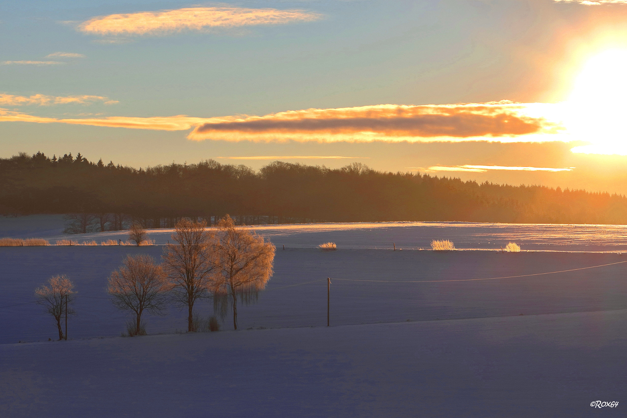 Canon EF-S 15-85mm F3.5-5.6 IS USM sample photo. A winter wonderland photography