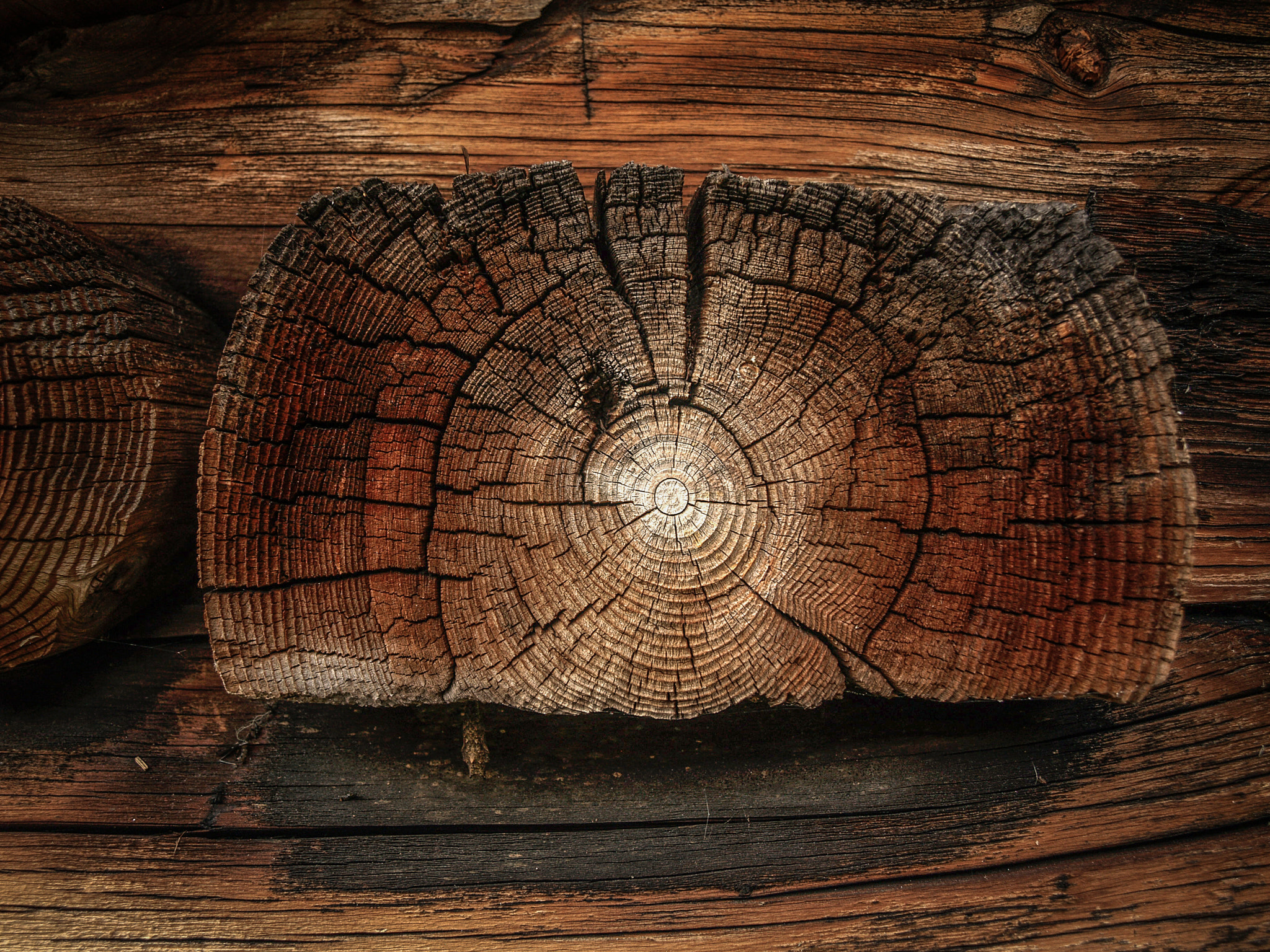 Olympus E-400 (EVOLT E-400) sample photo. Detail of a weathered alpine hut photography