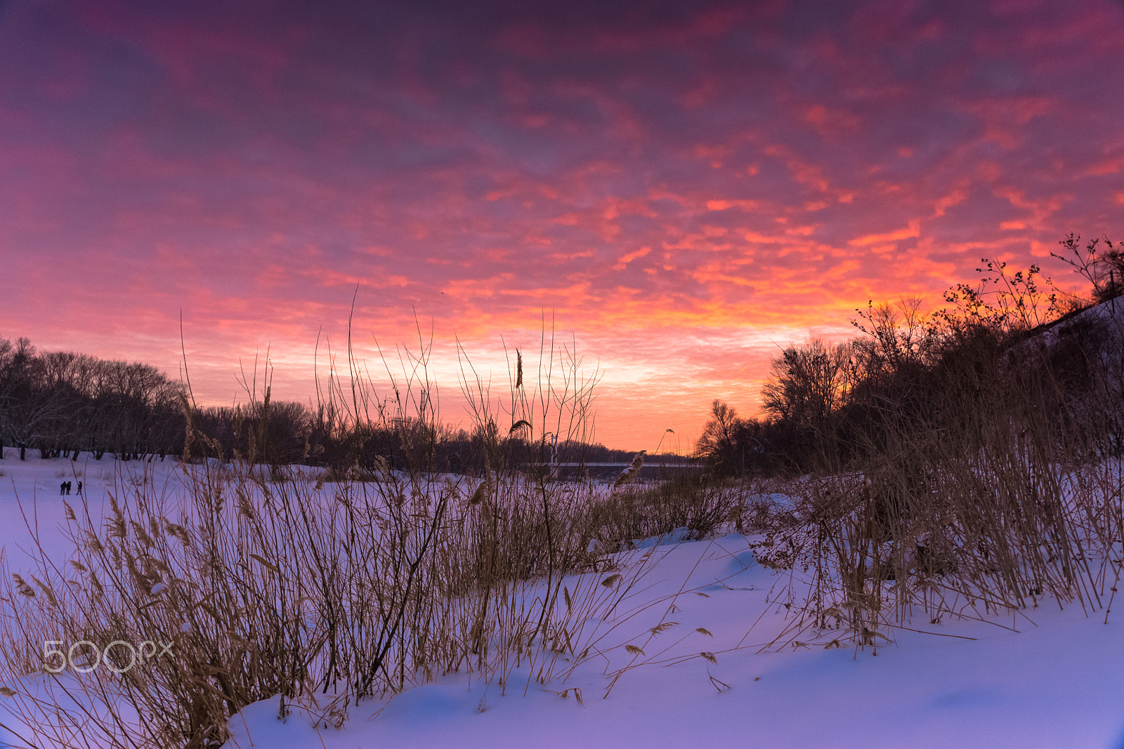 Sony SLT-A65 (SLT-A65V) + Sony DT 16-50mm F2.8 SSM sample photo. Небесный пожар.  heavenly fire. photography