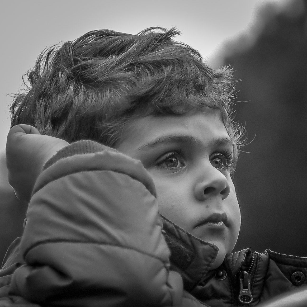 Nikon D50 sample photo. Serious sweetie photography