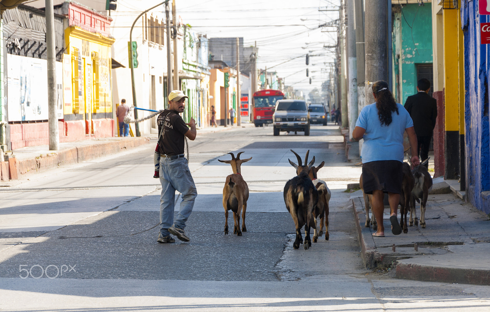 Nikon D200 sample photo. Seller of goat's milk in the morning in guatemala. photography