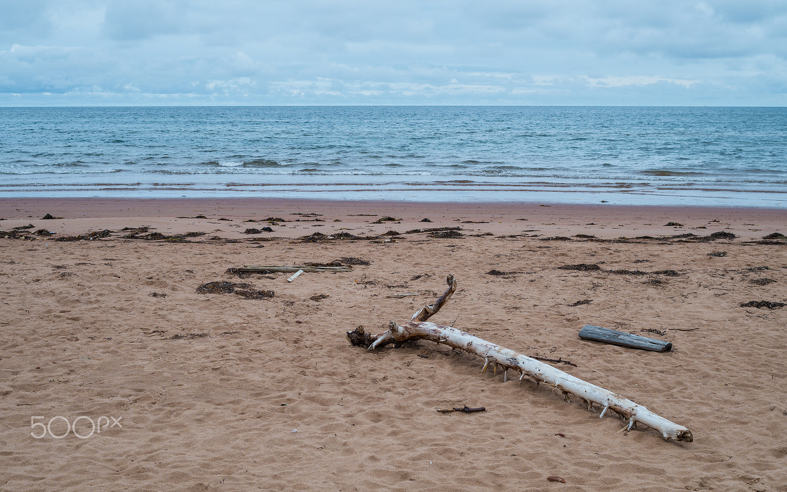 Pentax K-50 + Pentax smc DA 35mm F2.4 AL sample photo. Prince edward island (2) photography