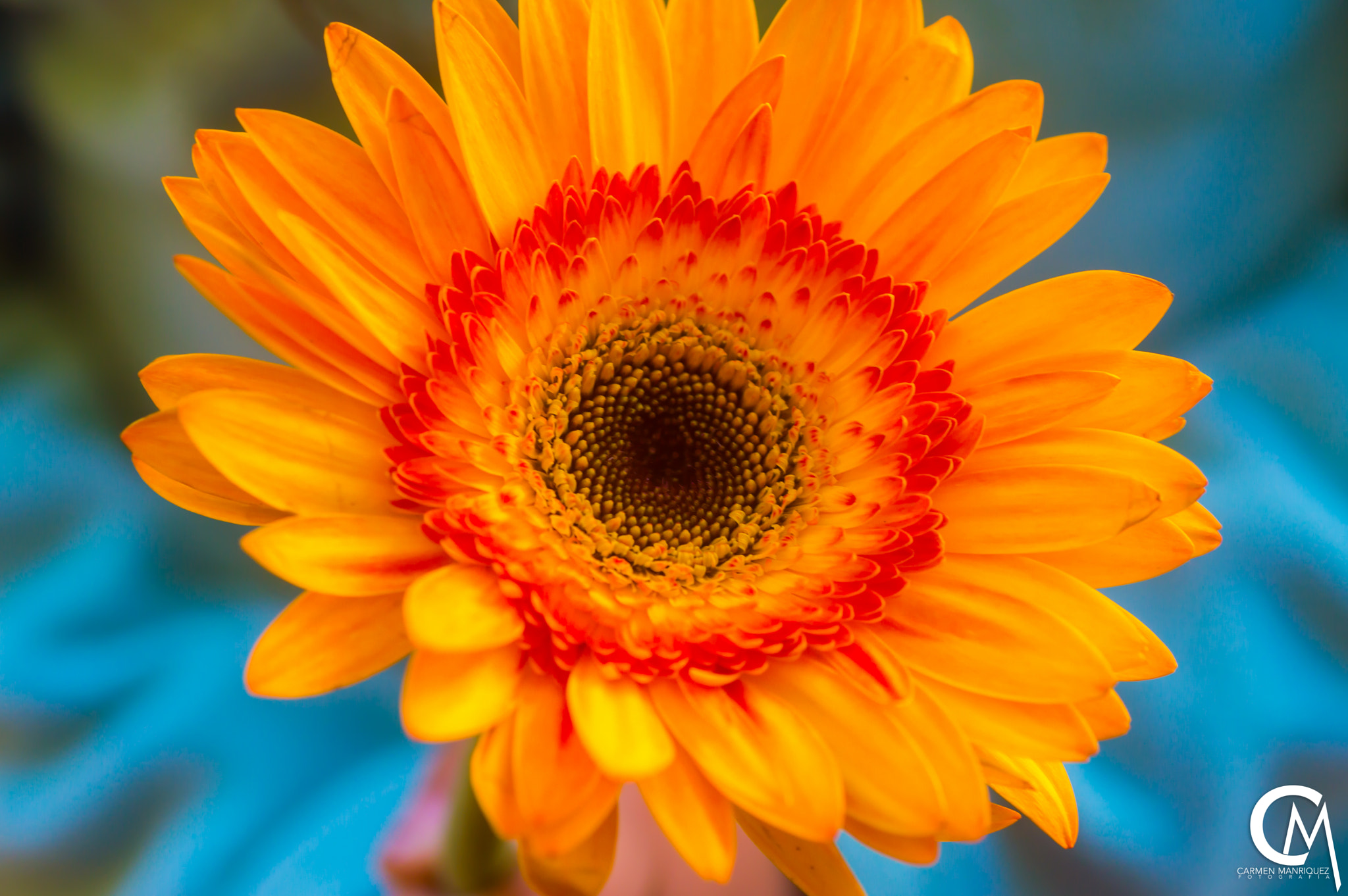 Nikon D3200 sample photo. Corazon photography