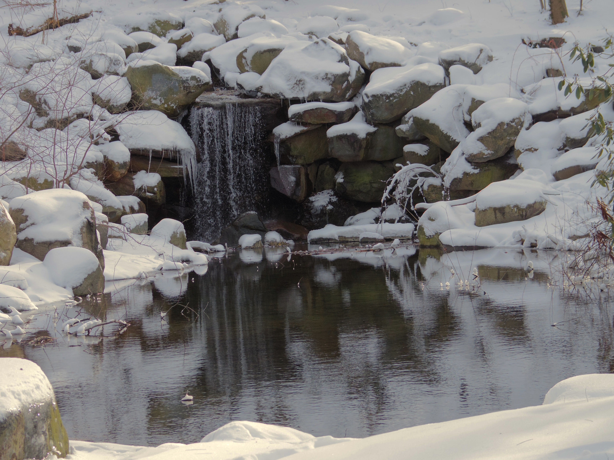 Pentax Q-S1 sample photo. Snow falls photography