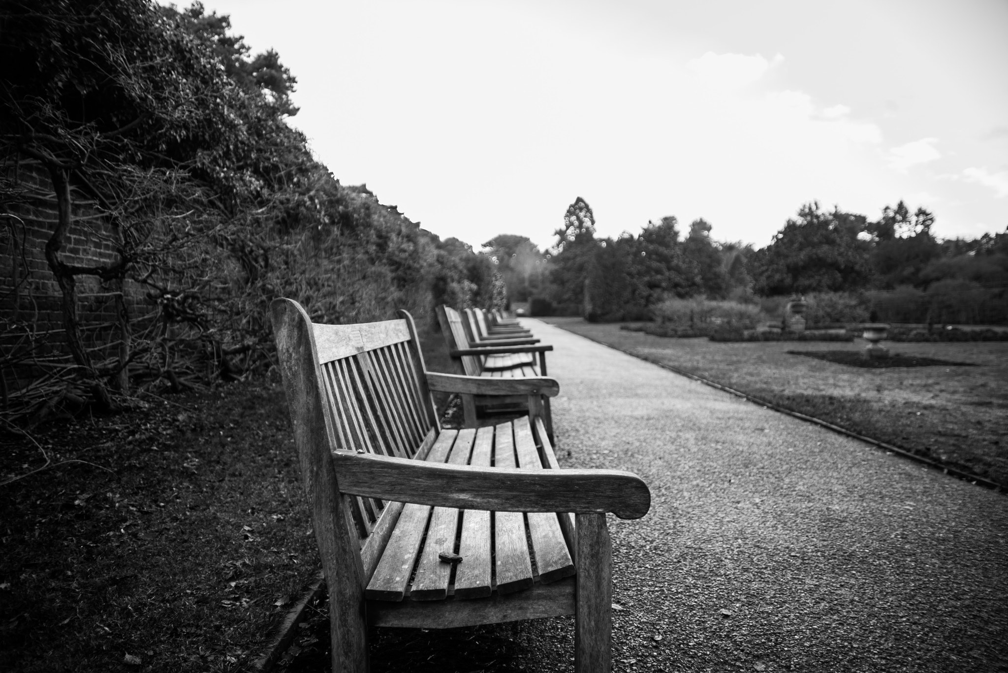 Nikon AF Nikkor 24-85mm F2.8-4D IF sample photo. Empty benches photography