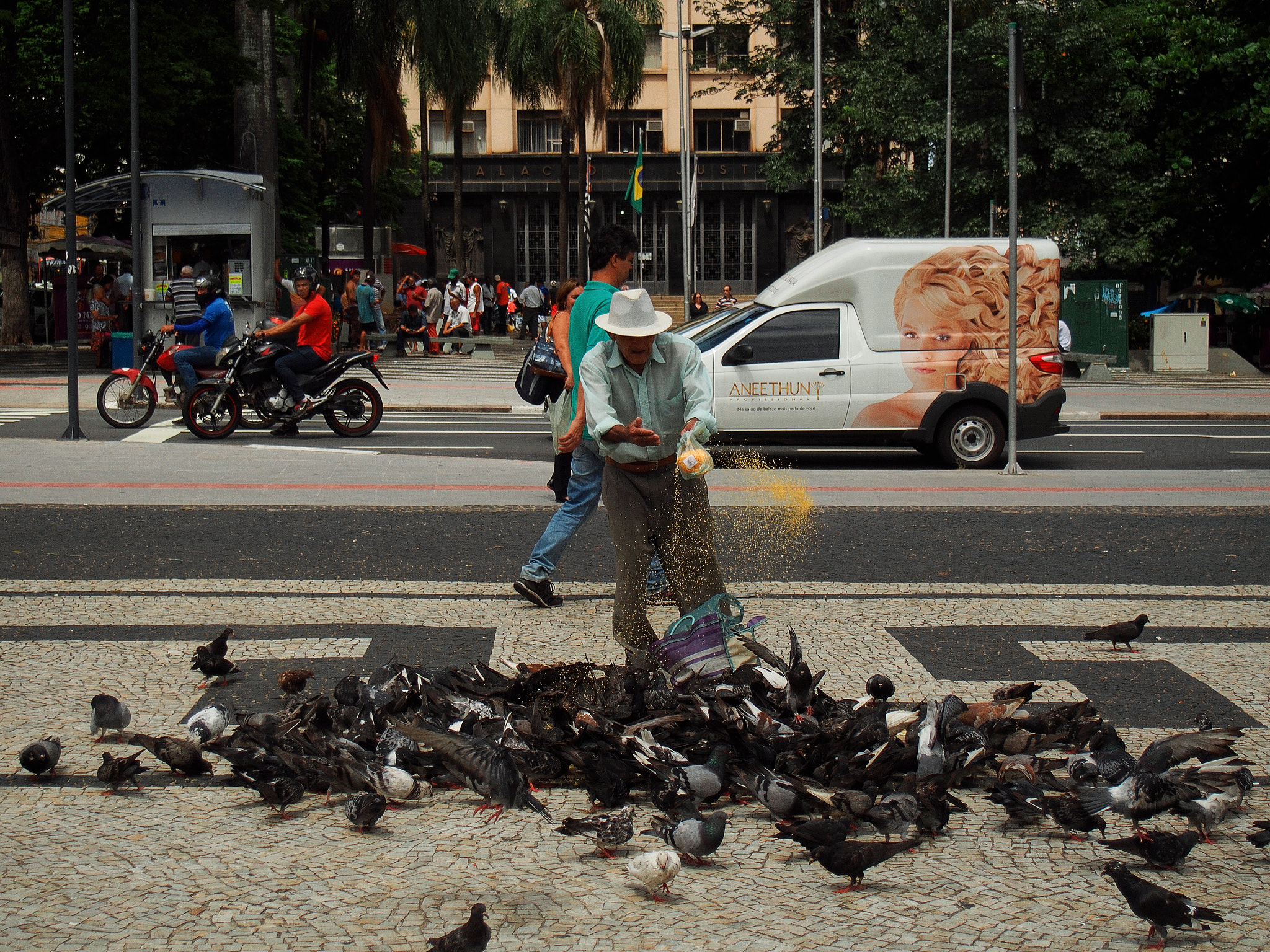 Olympus OM-D E-M5 sample photo. The bird hope, campinas by chance 2017 photography
