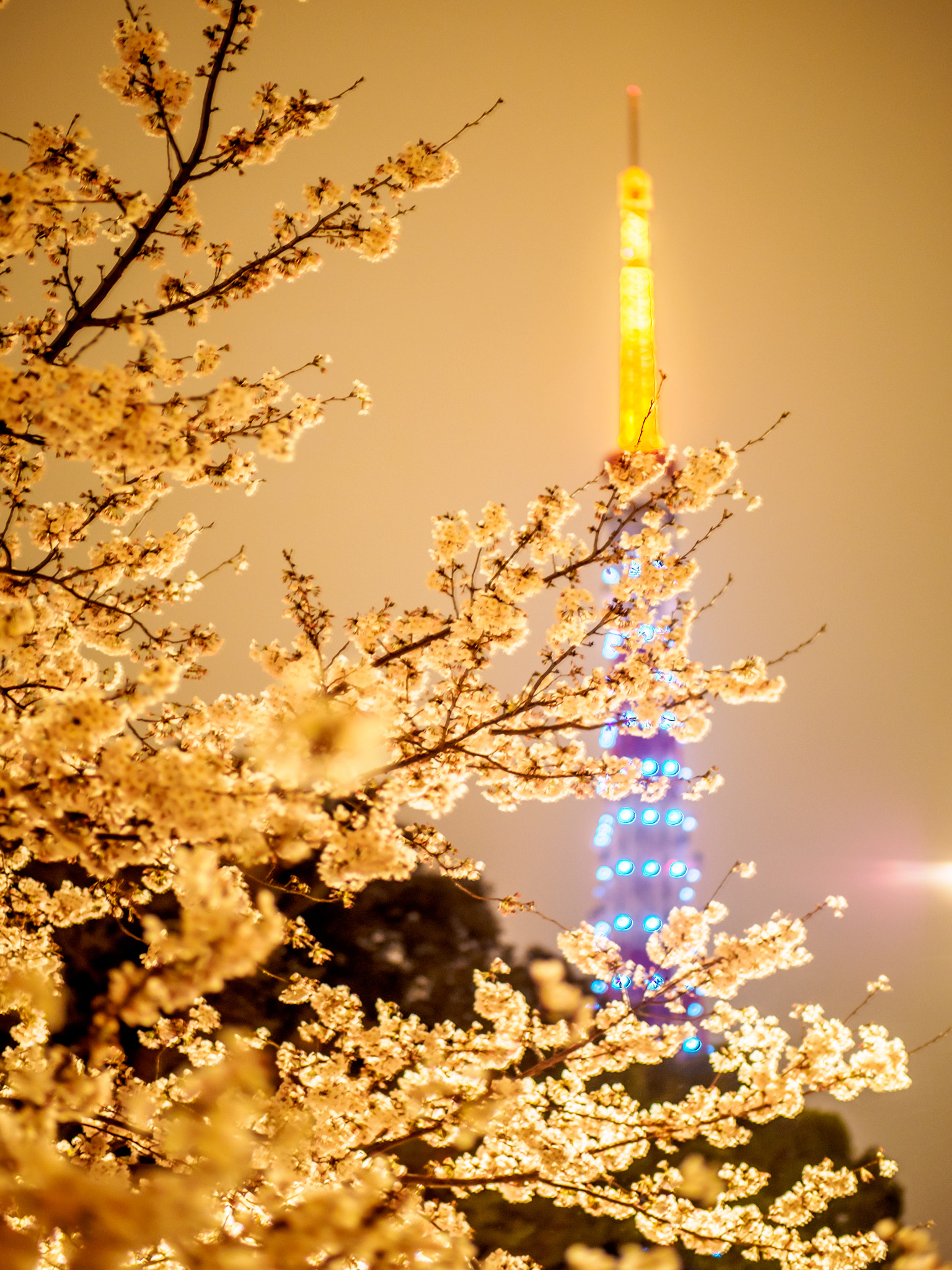 Panasonic Leica DG Nocticron 42.5mm F1.2 ASPH OIS sample photo. 26187381355.jpg photography
