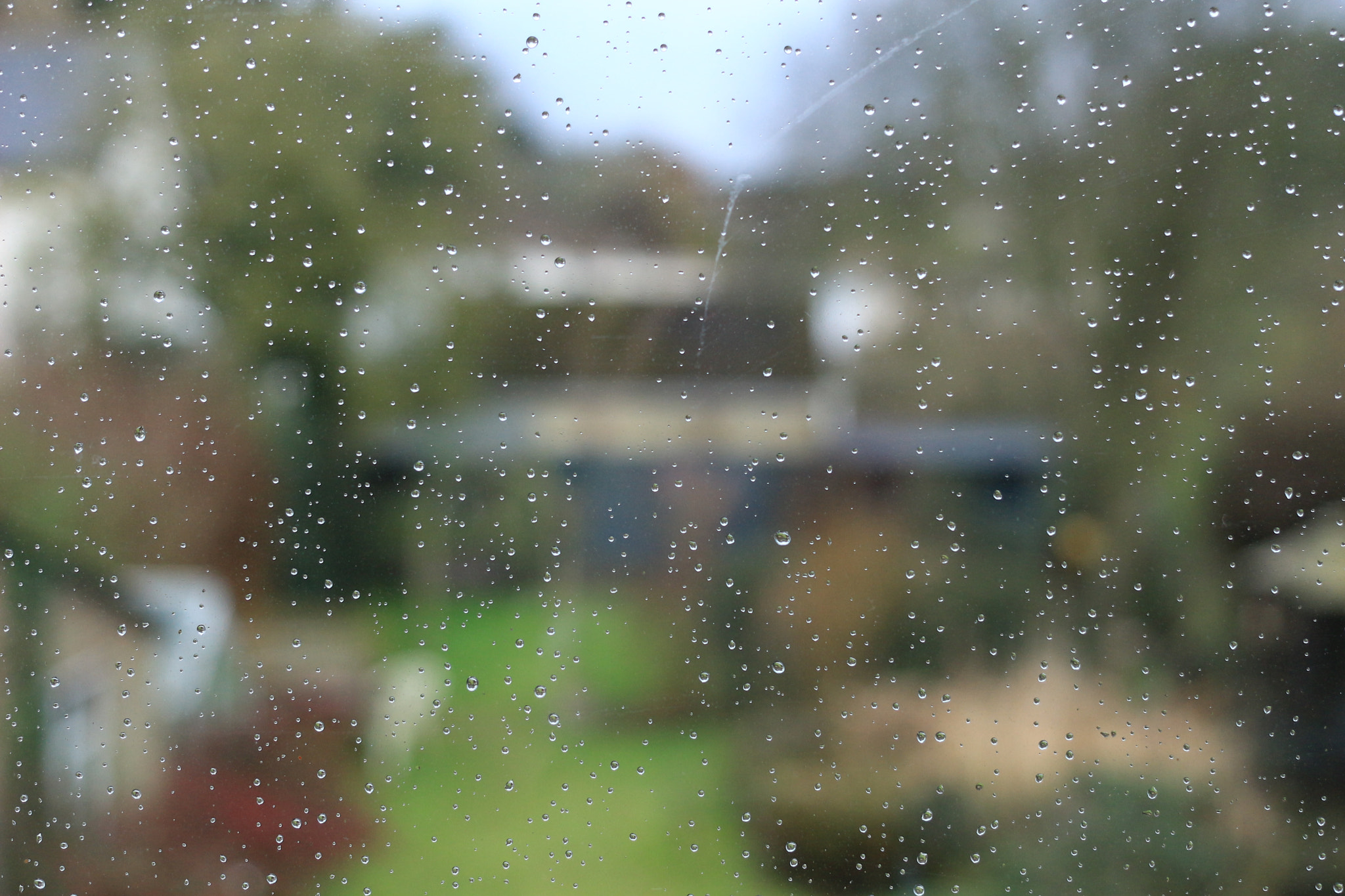 Canon EOS 100D (EOS Rebel SL1 / EOS Kiss X7) + Canon EF 40mm F2.8 STM sample photo. Raindrops photography