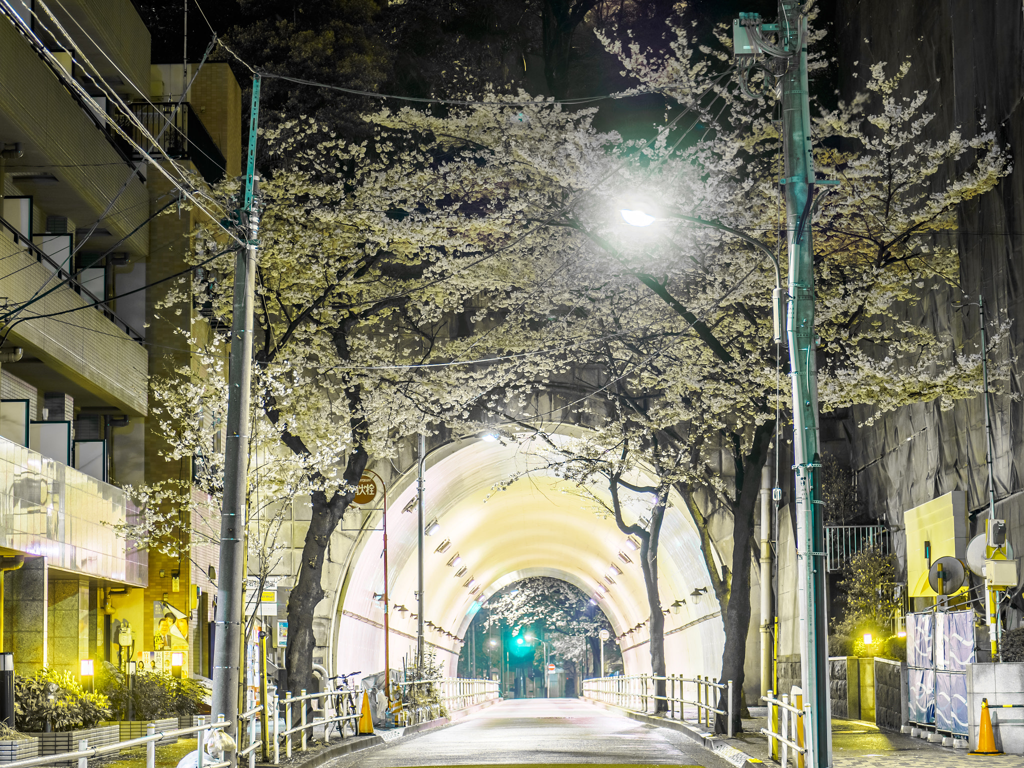Panasonic Leica DG Nocticron 42.5mm F1.2 ASPH OIS sample photo. 26147841676.jpg photography