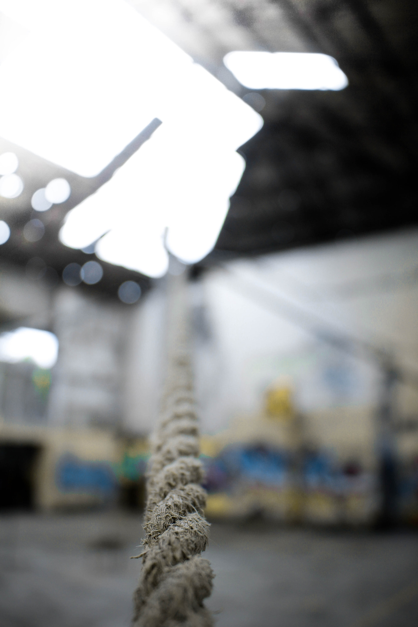 Canon EOS 60D sample photo
