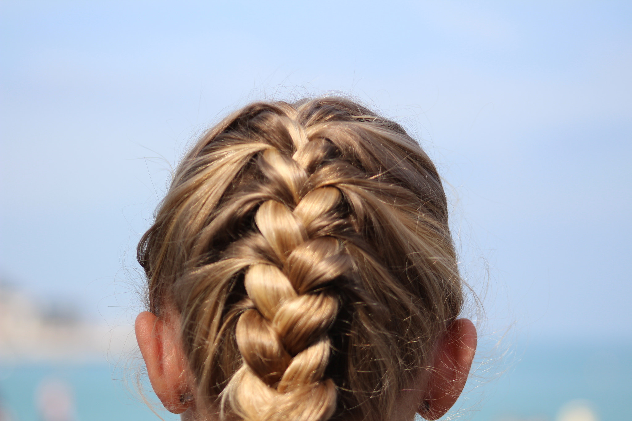 Canon EF 75-300mm f/4-5.6 USM sample photo. Dutch braid photography